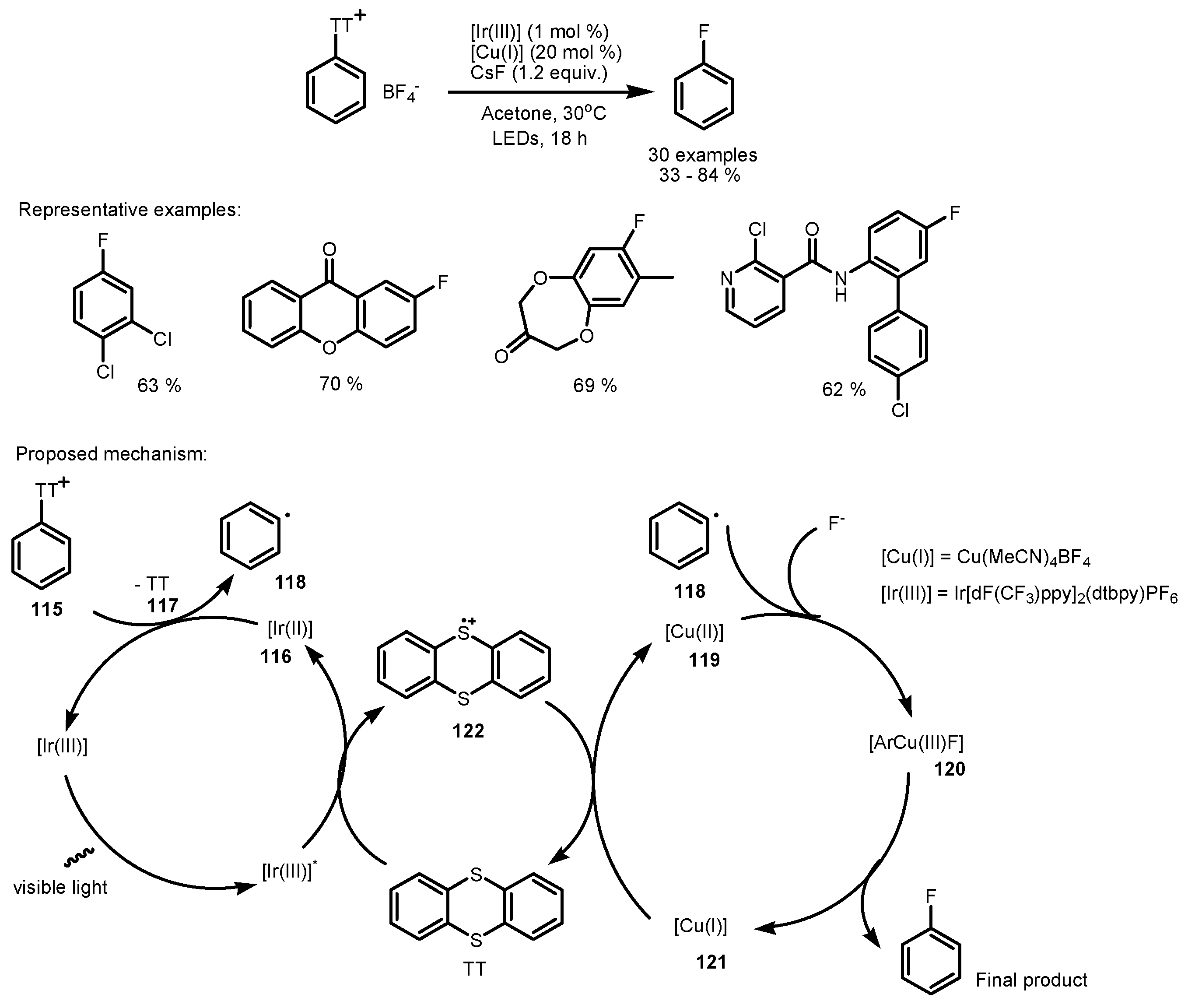 Catalysts 13 00094 sch033