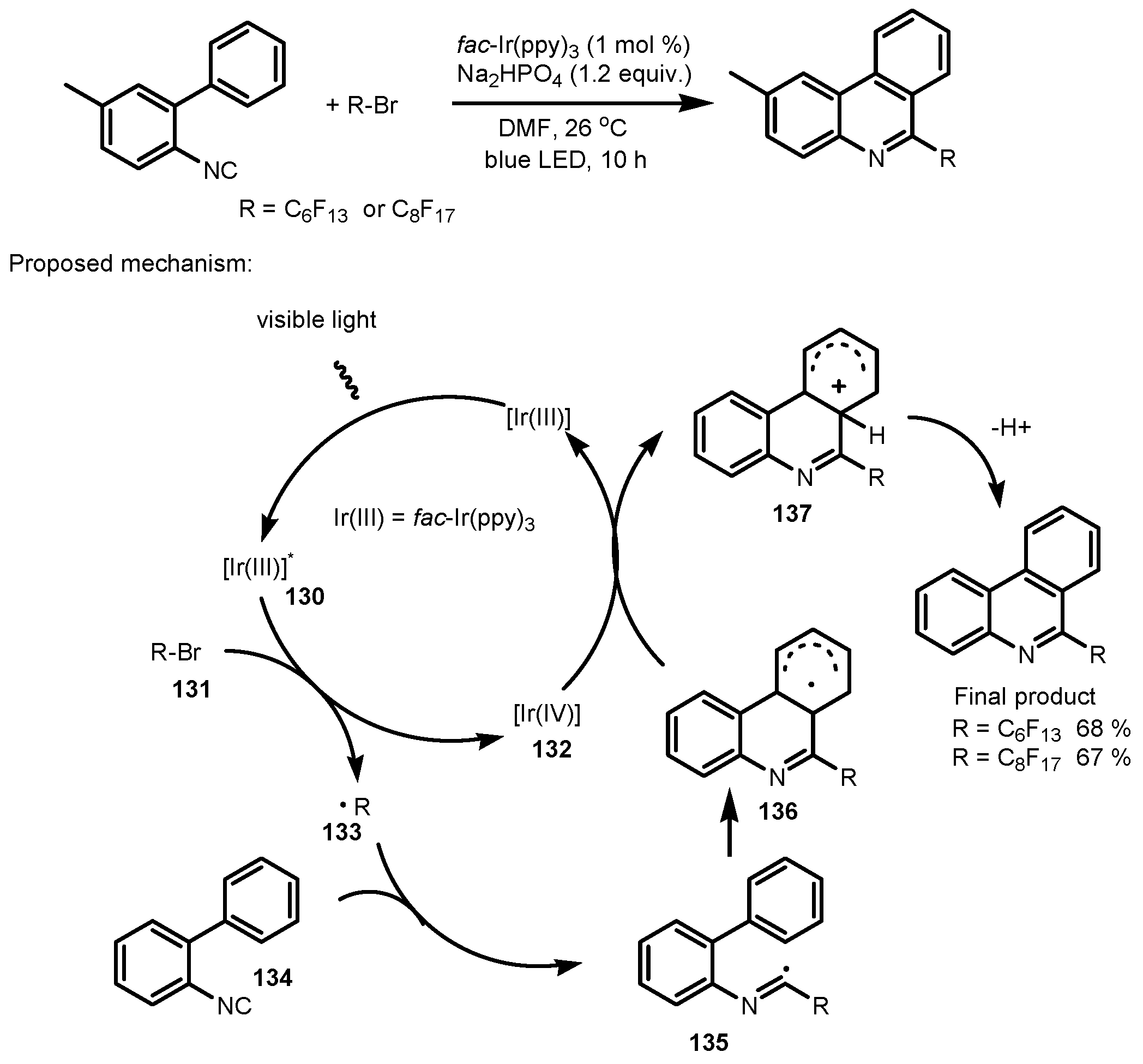 Catalysts 13 00094 sch035