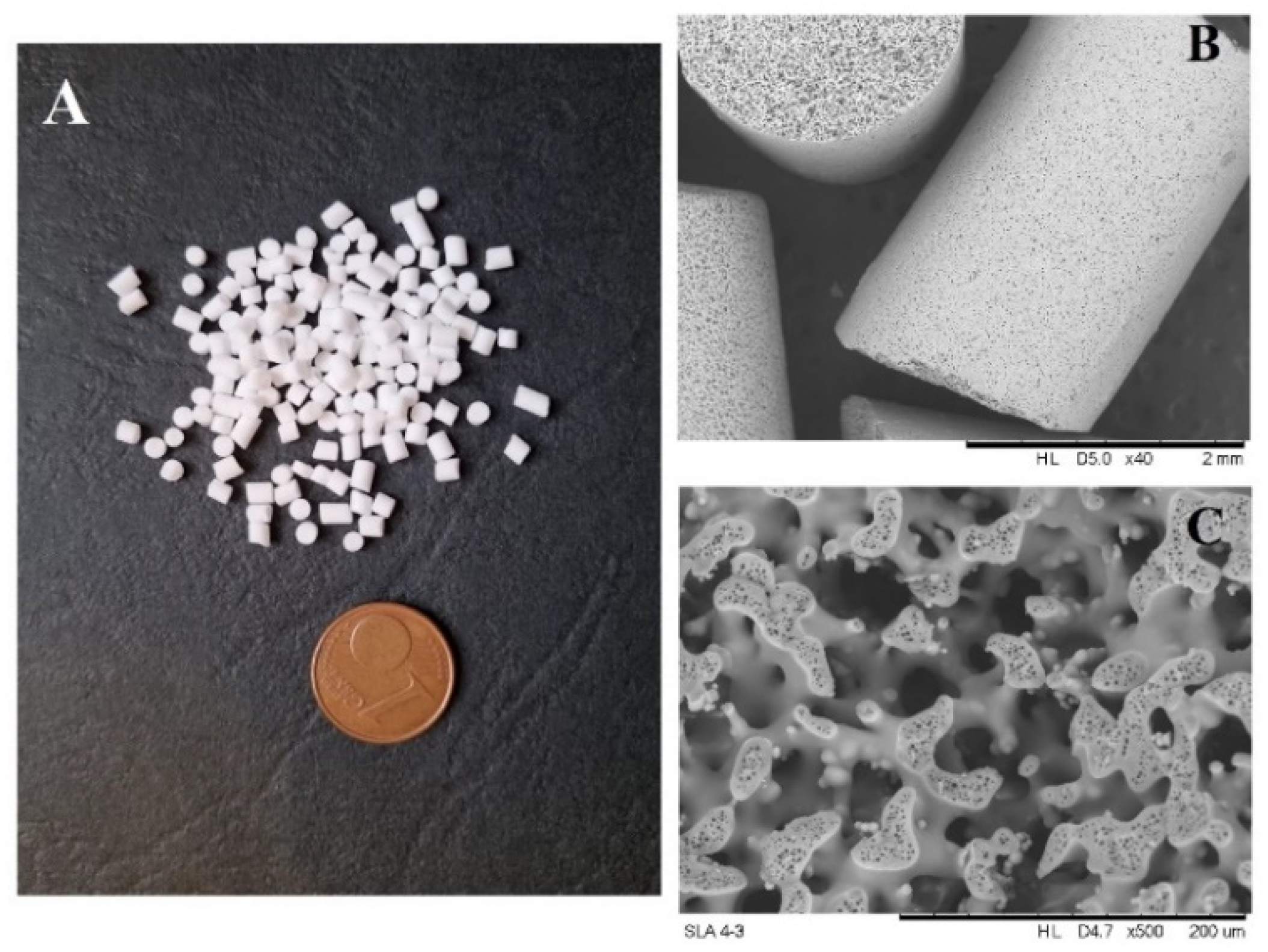 Catalysts 13 00095 g001 Catalysts 13 00095 g001