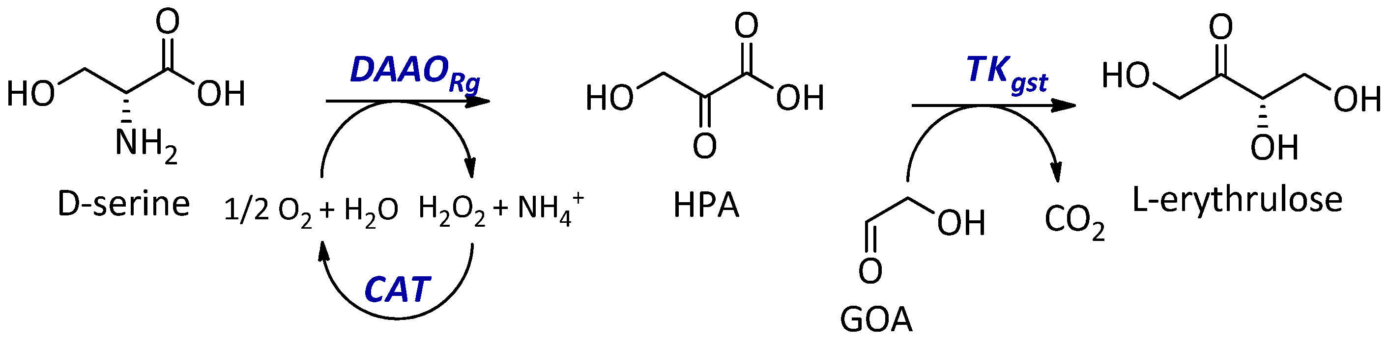 Catalysts 13 00095 sch001 Catalysts 13 00095 sch001