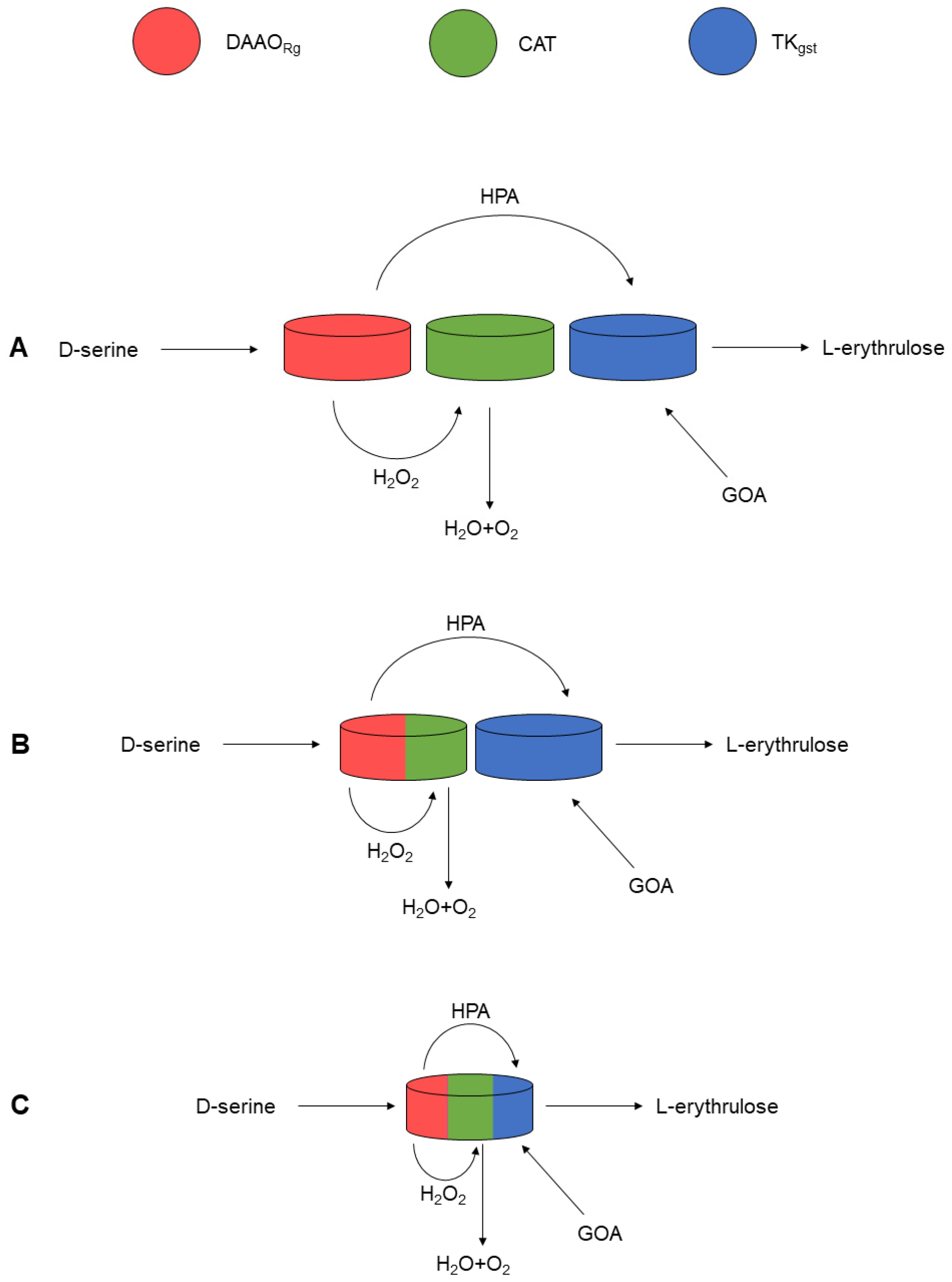 Catalysts 13 00095 sch002 Catalysts 13 00095 sch002