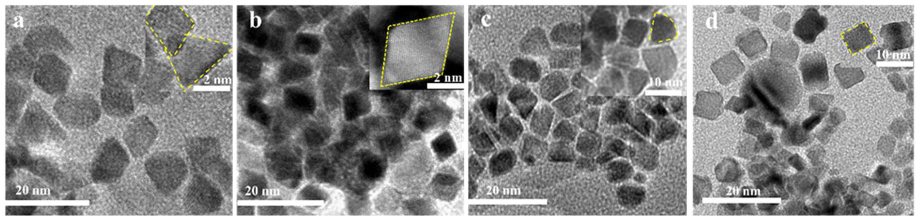 Catalysts 13 00097 g002