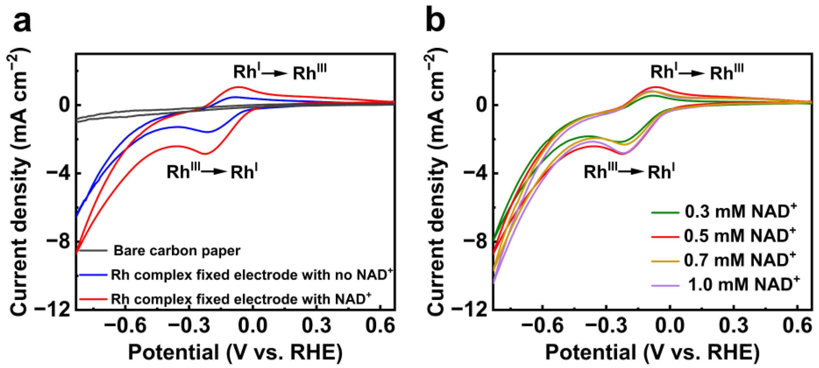 Catalysts 13 00101 g002