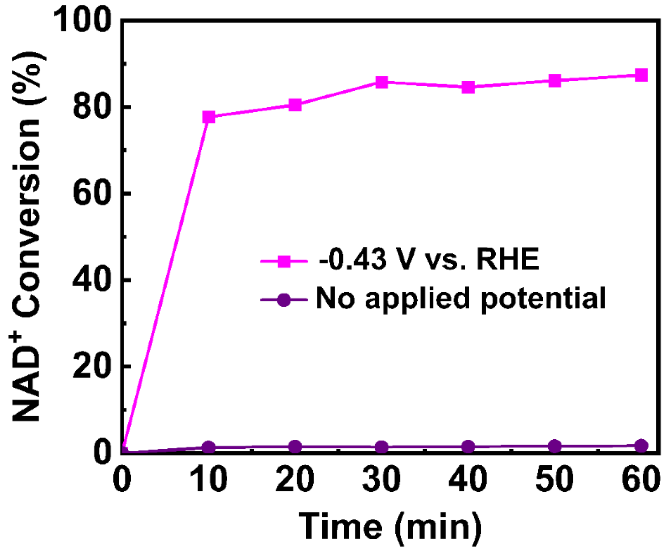 Catalysts 13 00101 g003