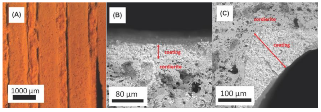 Catalysts 13 00106 g002
