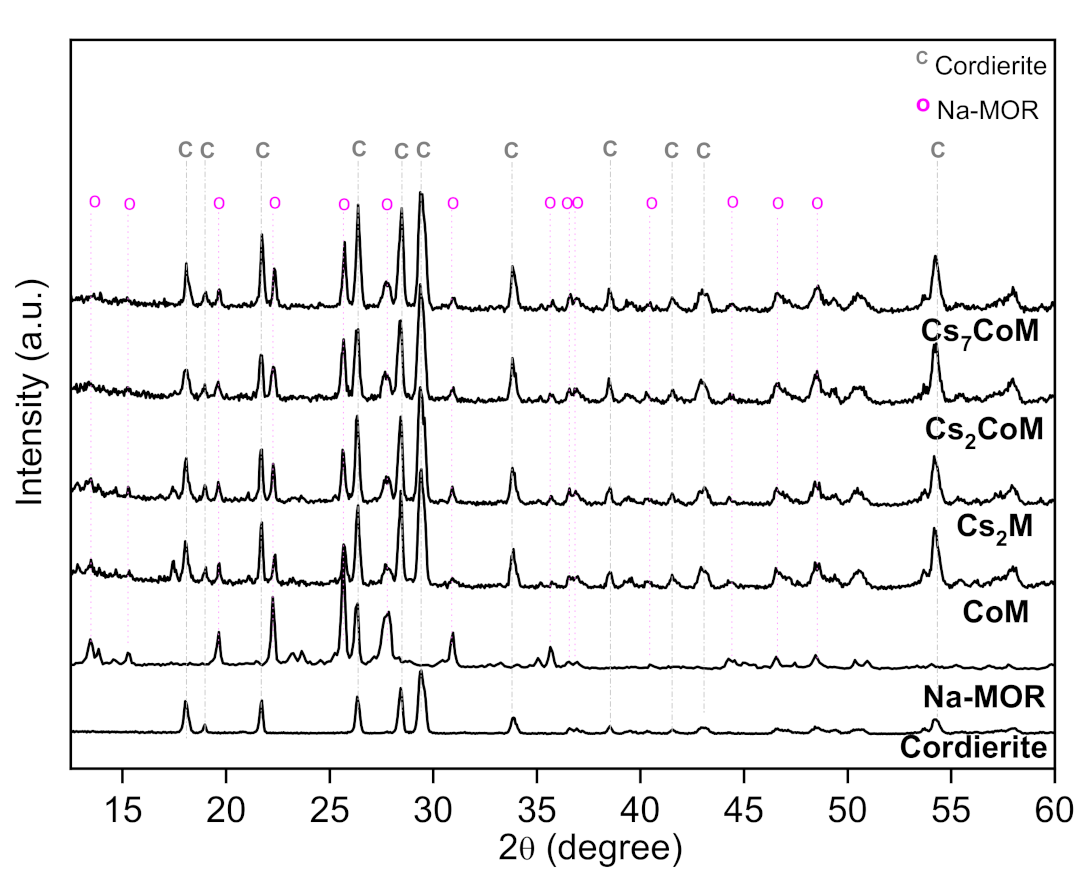 Catalysts 13 00106 g003