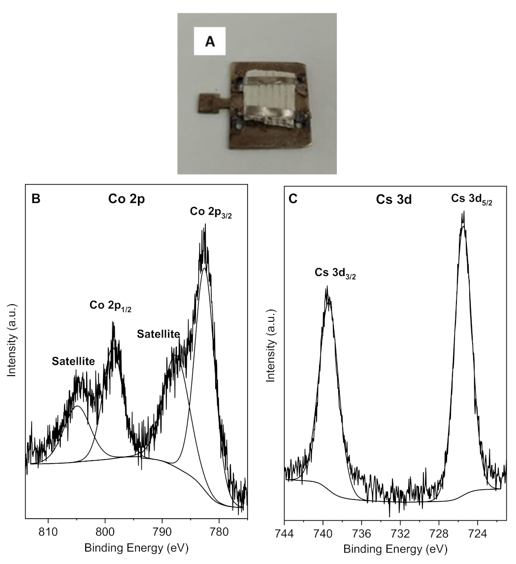 Catalysts 13 00106 g004