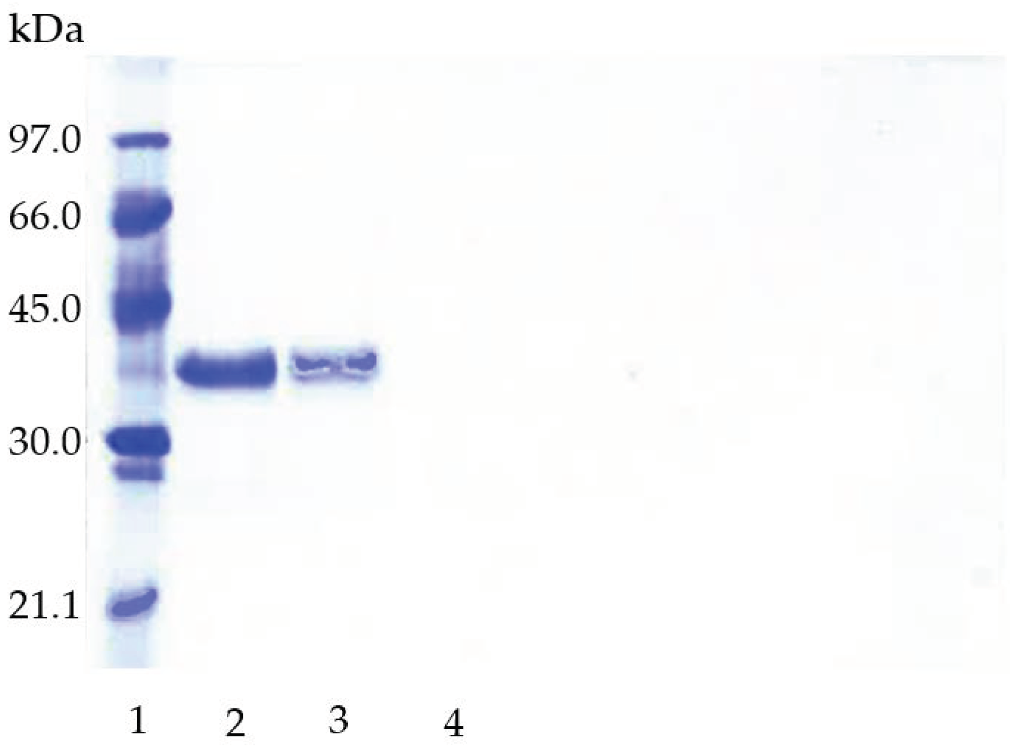 Catalysts 13 00108 g004
