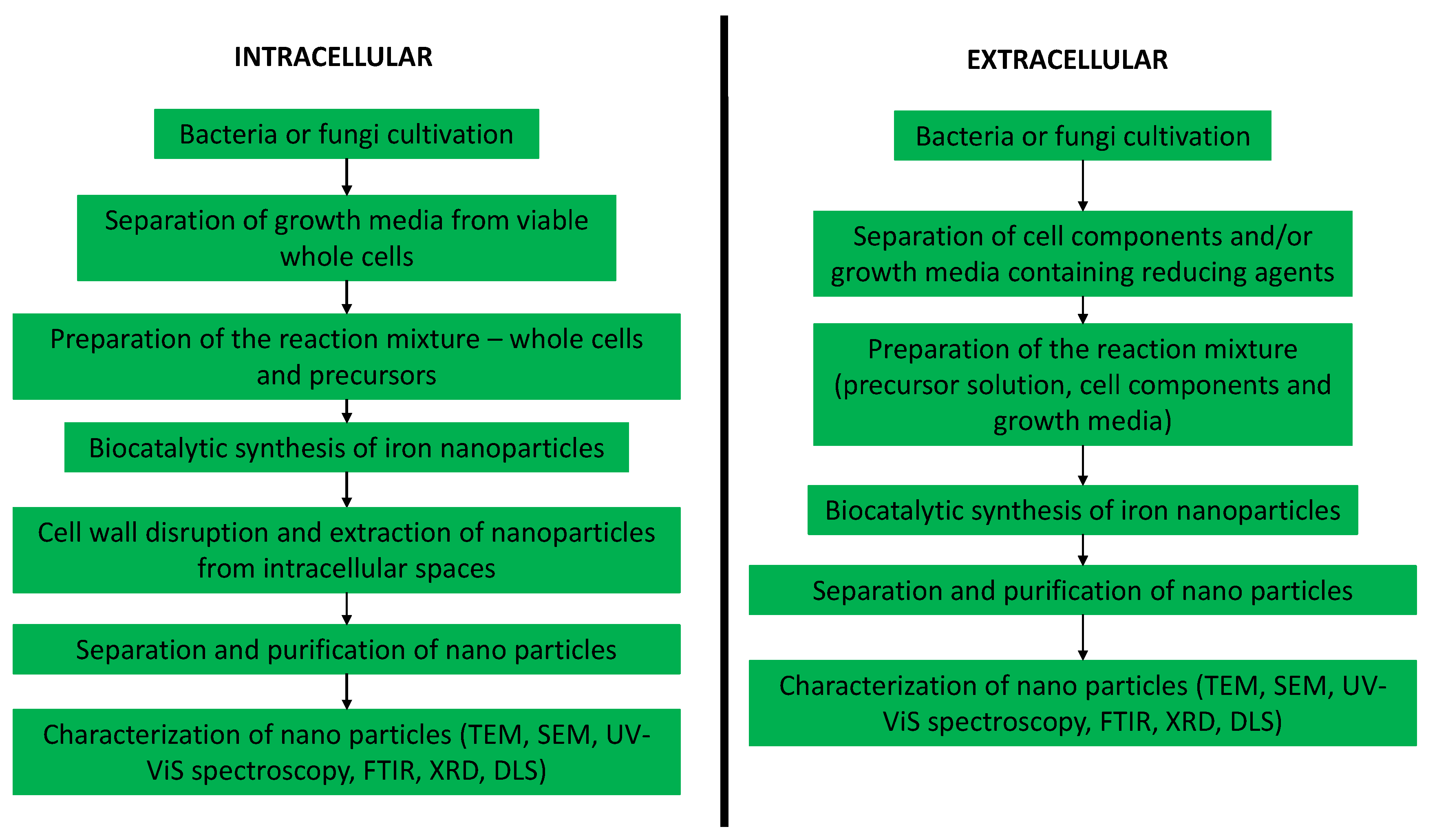 Catalysts 13 00112 g003