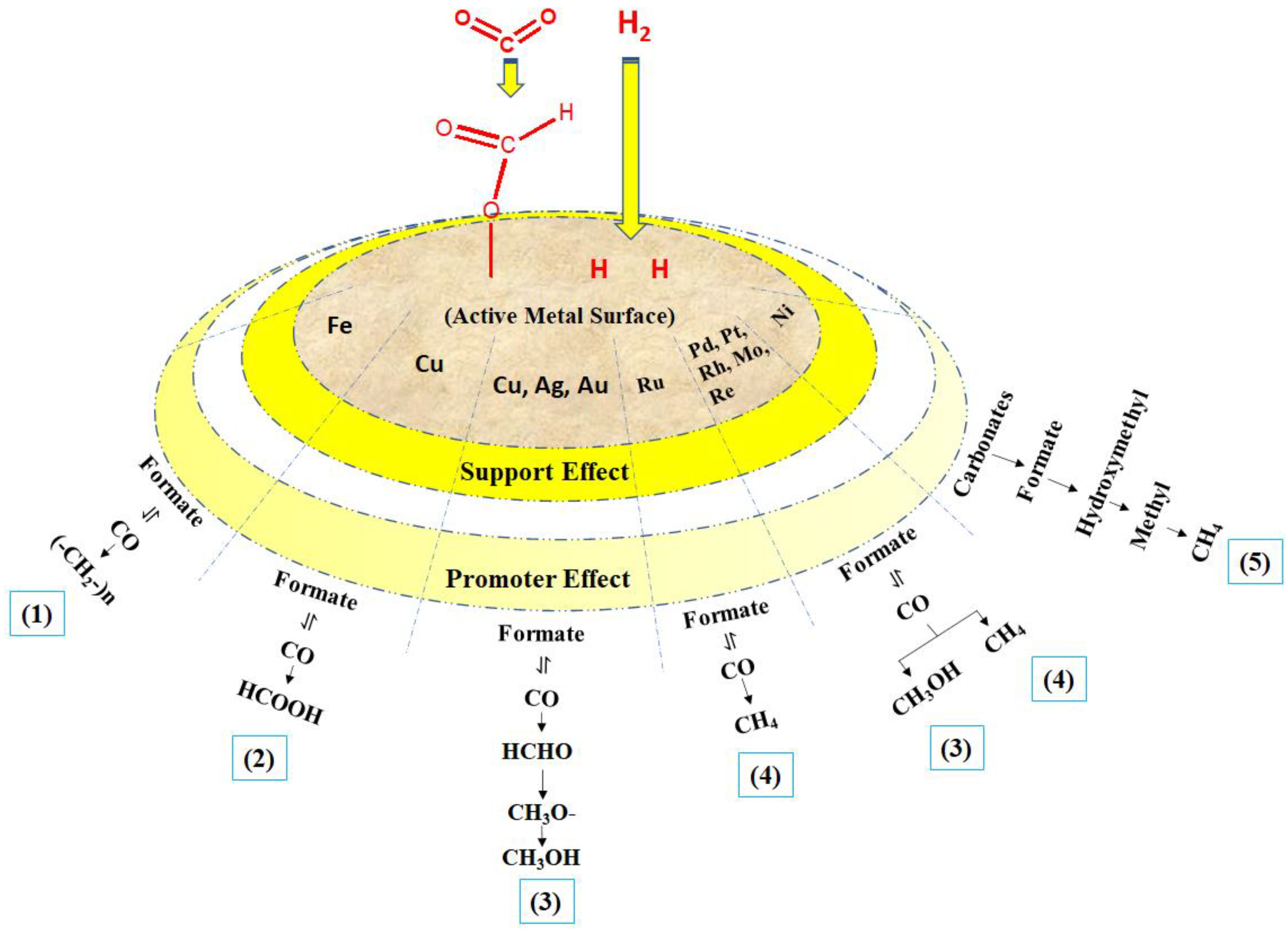 Catalysts 13 00113 g001
