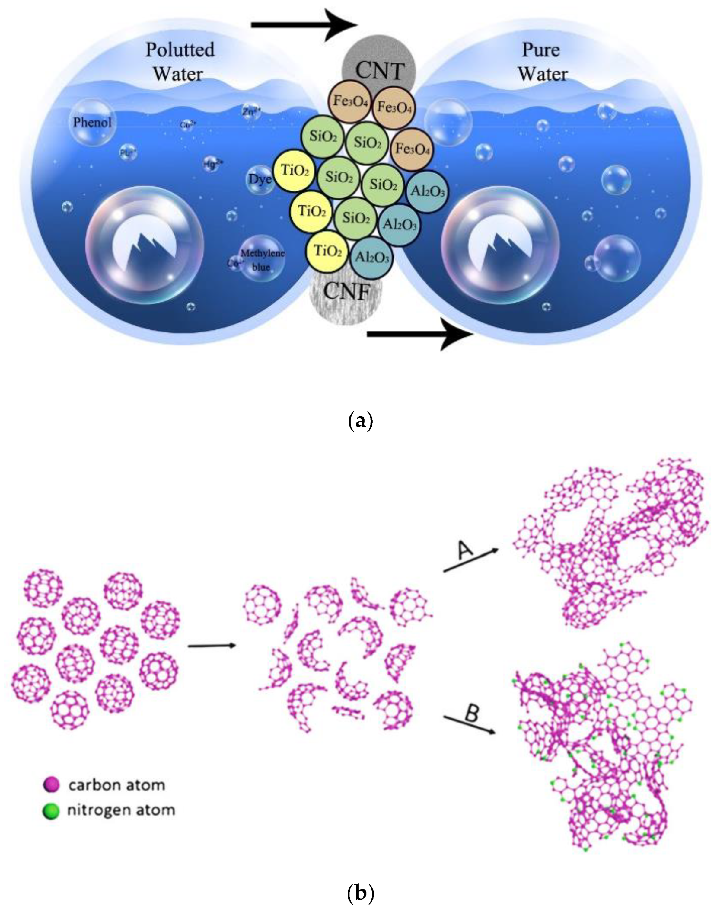 Catalysts 13 00115 g002