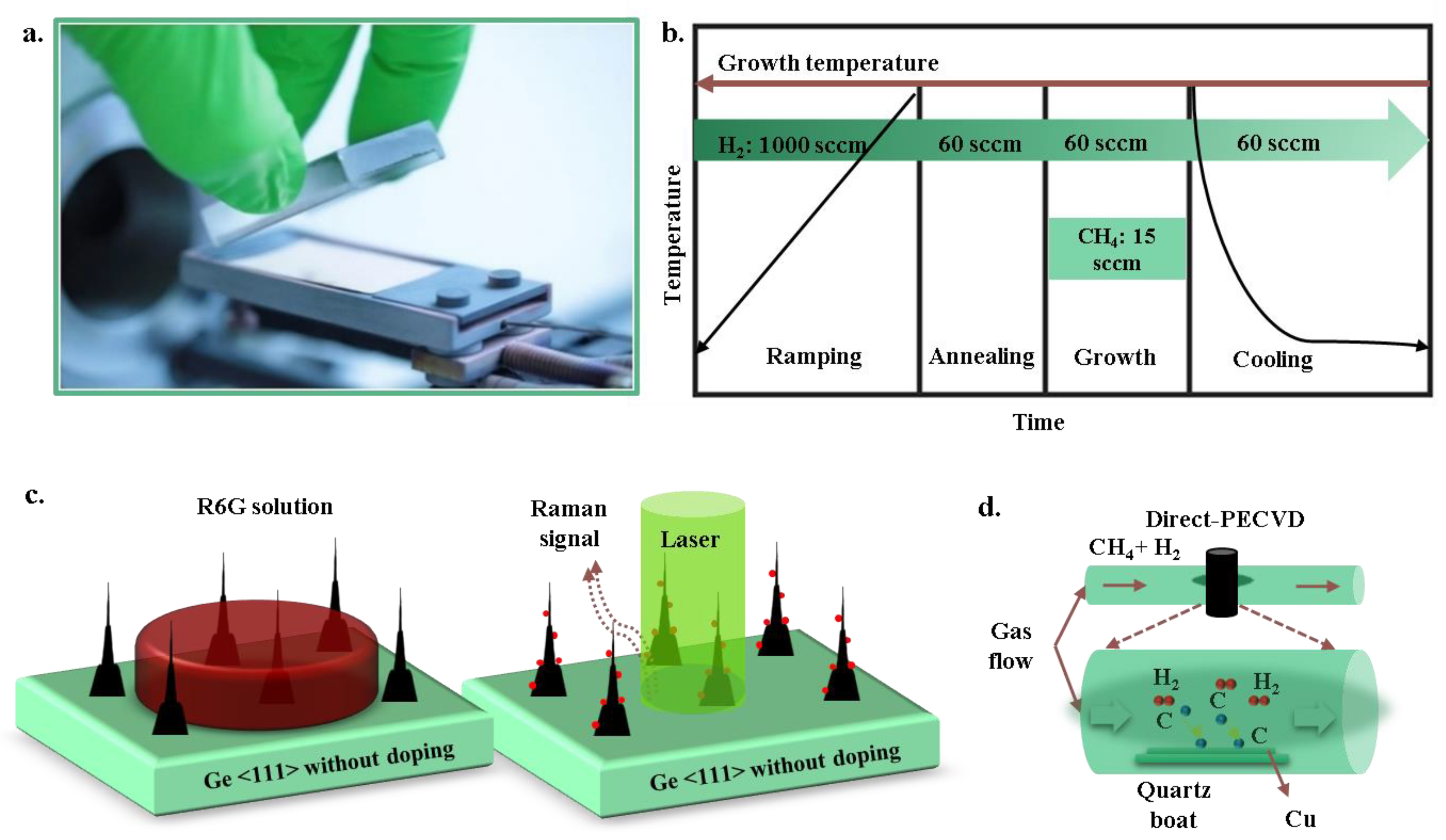 Catalysts 13 00115 g005