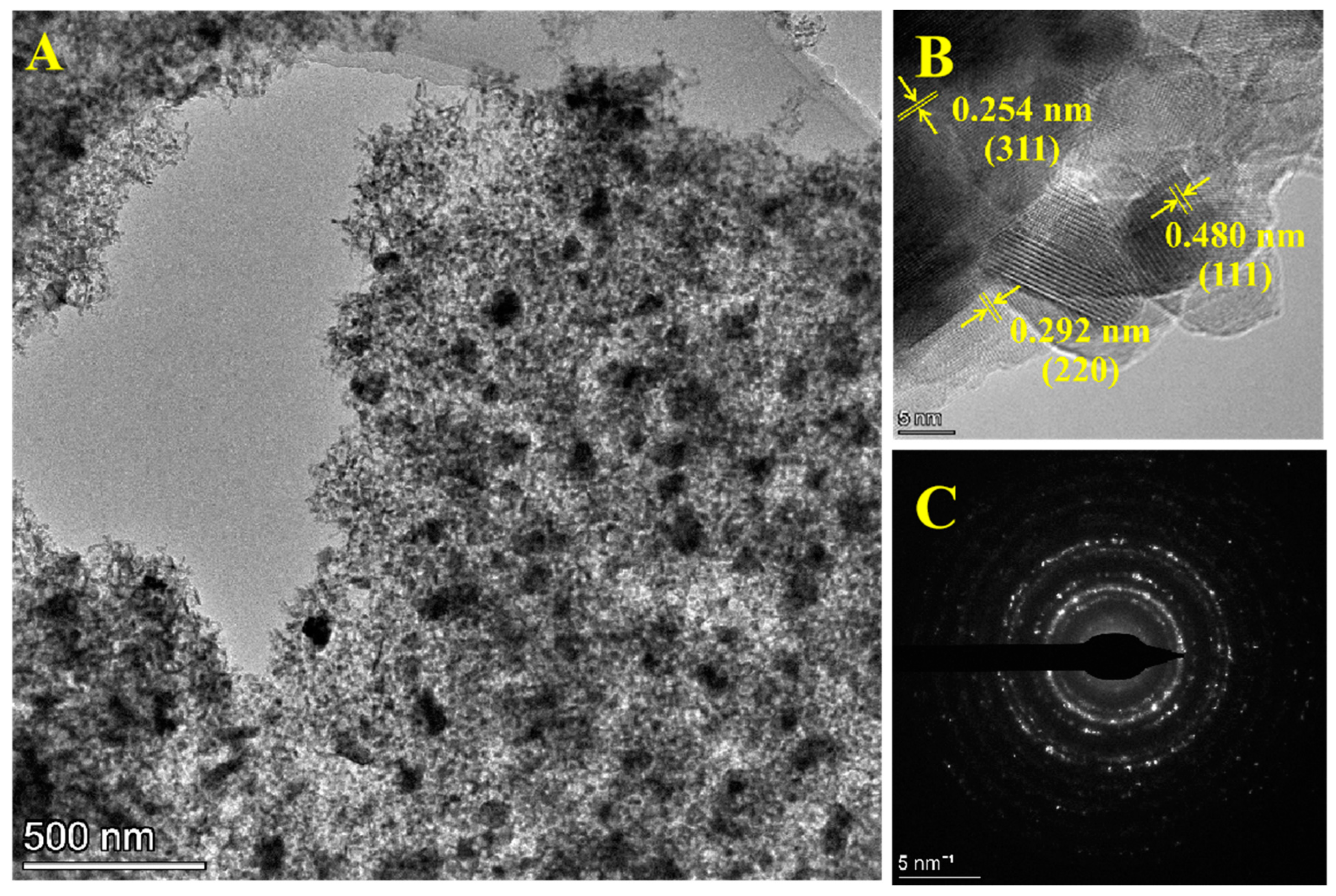 Catalysts 13 00119 g003