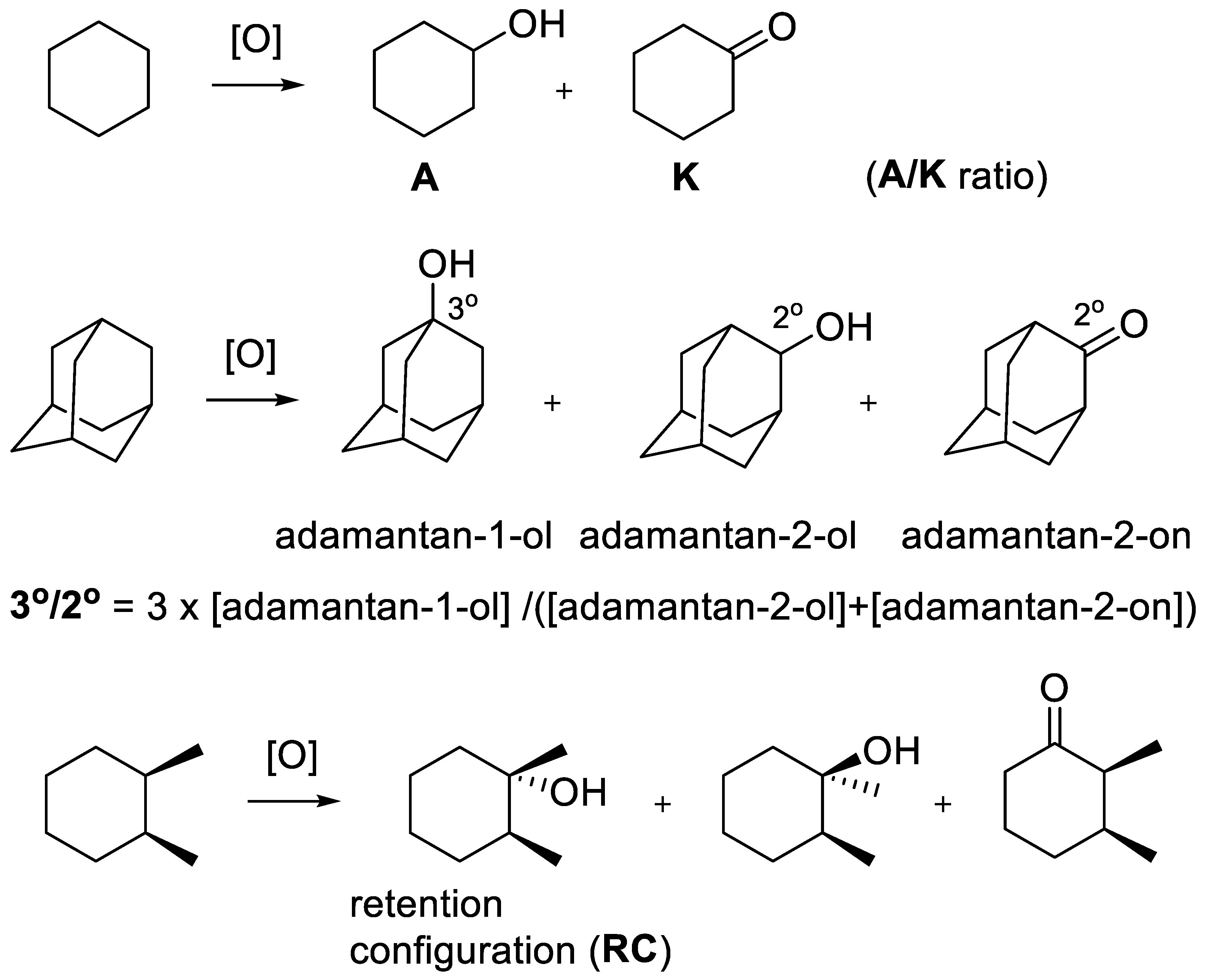 Catalysts 13 00121 sch001