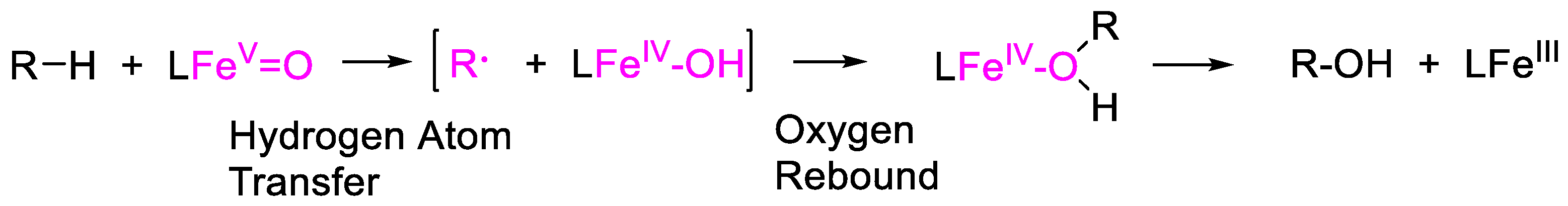 Catalysts 13 00121 sch002