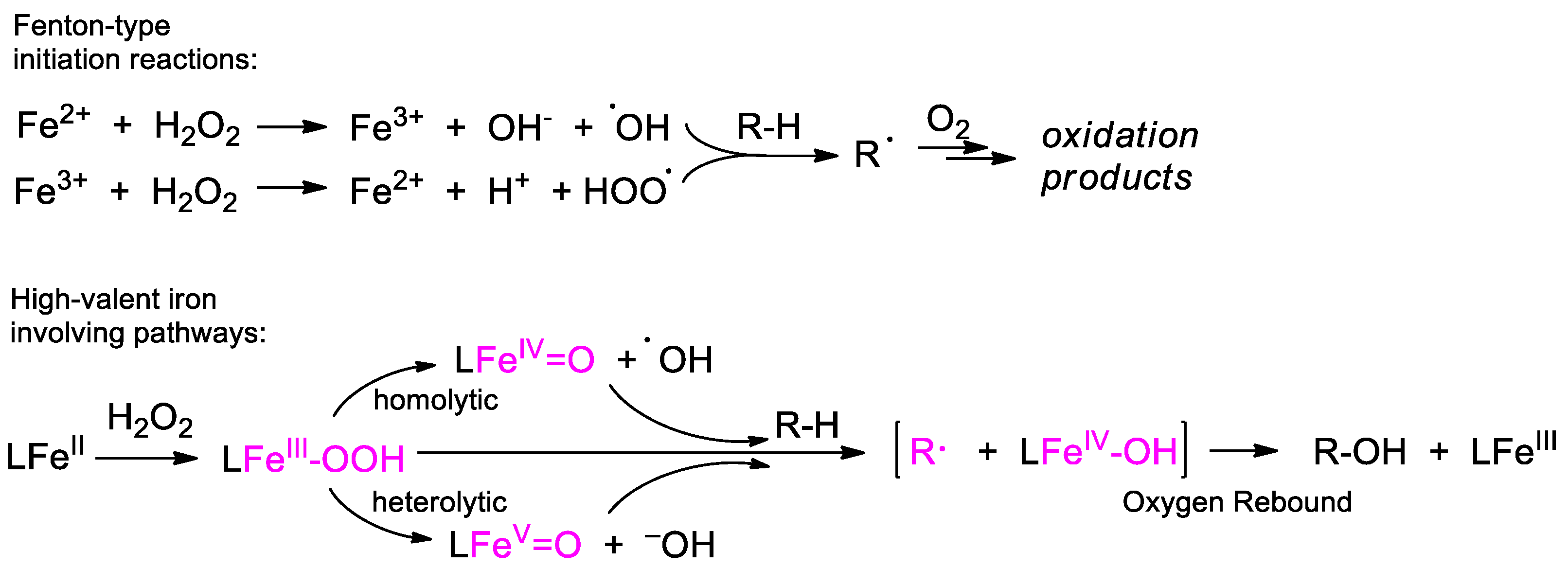 Catalysts 13 00121 sch007