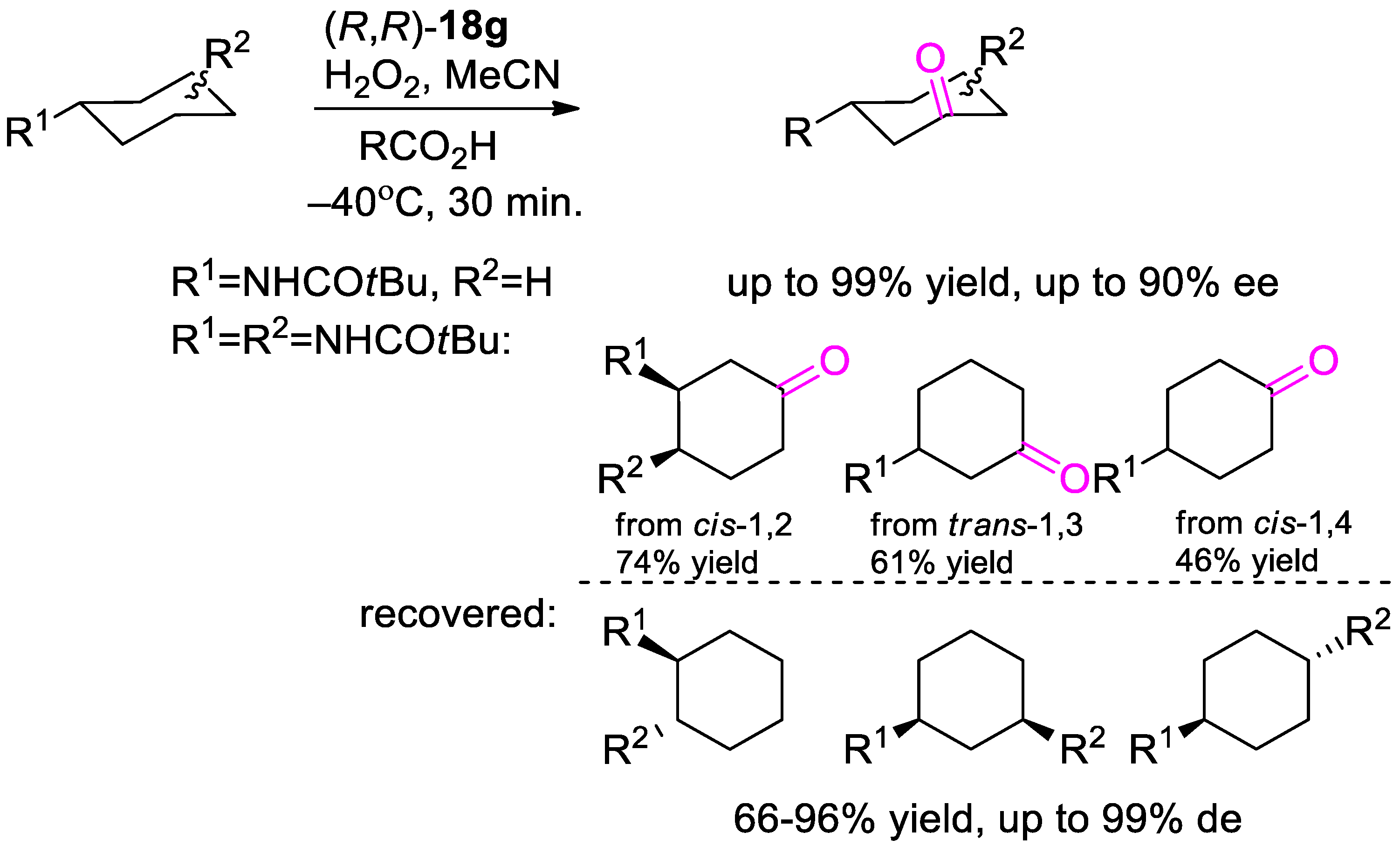 Catalysts 13 00121 sch014