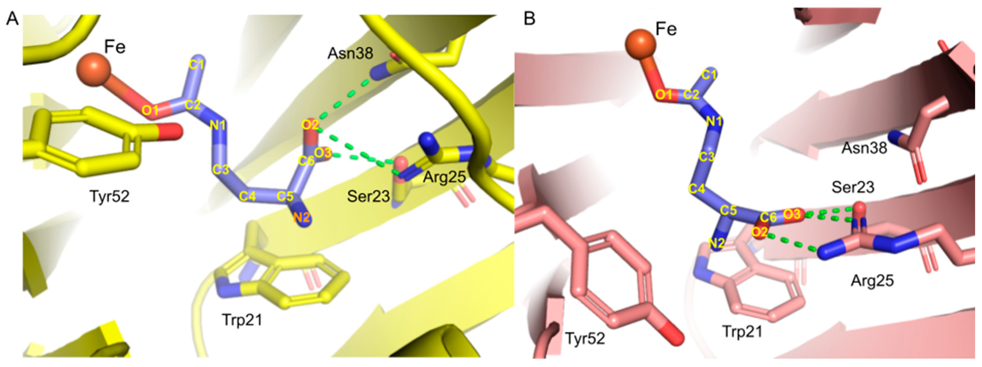 Catalysts 13 00124 g004