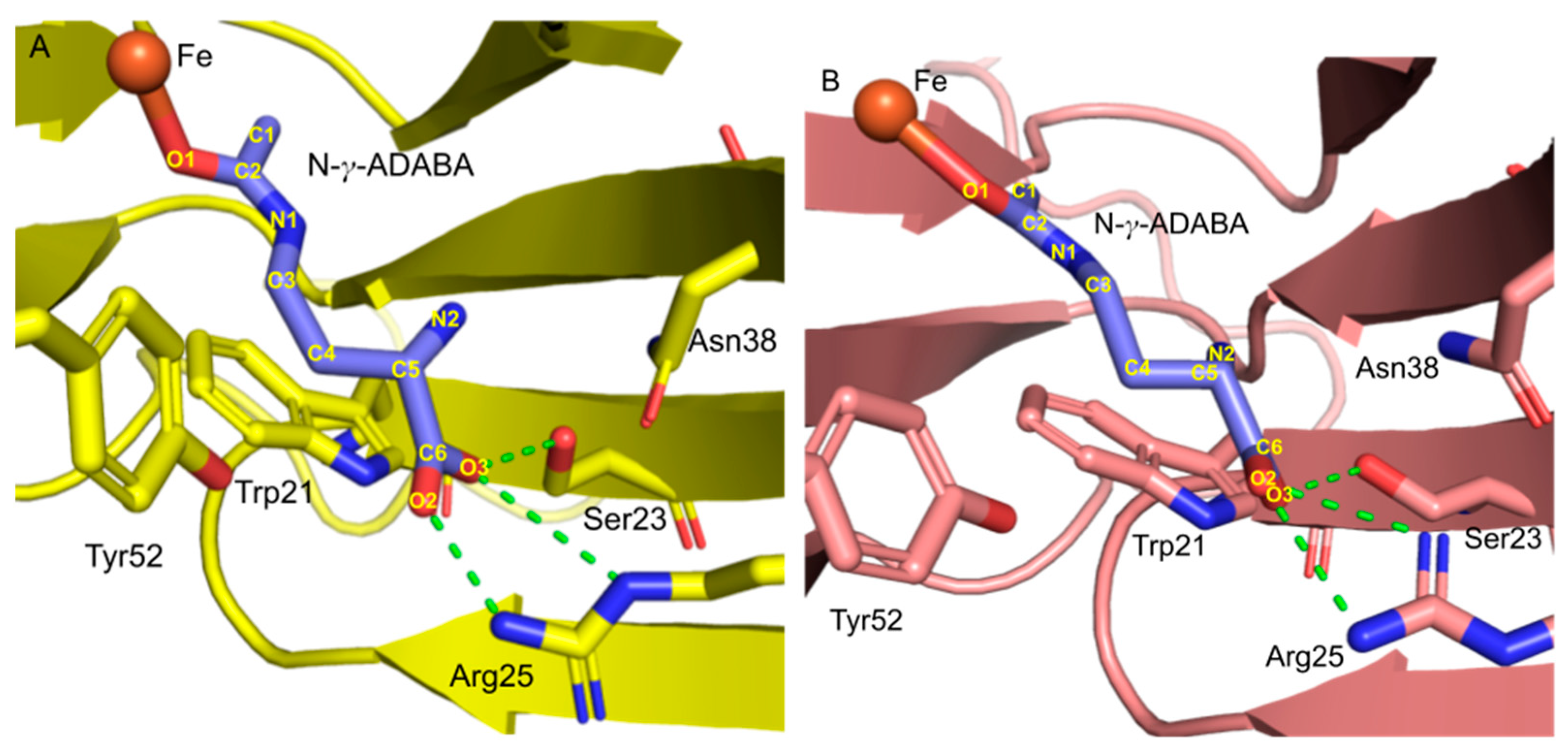 Catalysts 13 00124 g009