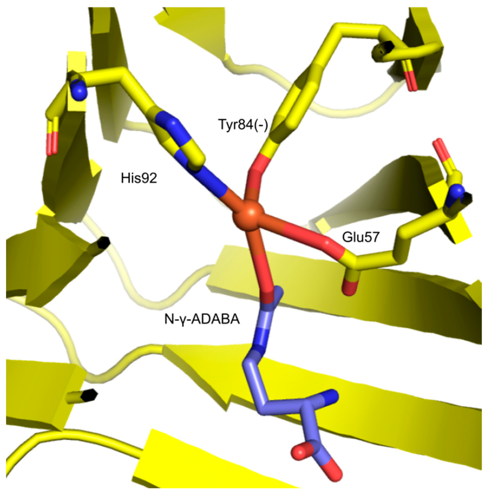 Catalysts 13 00124 g012