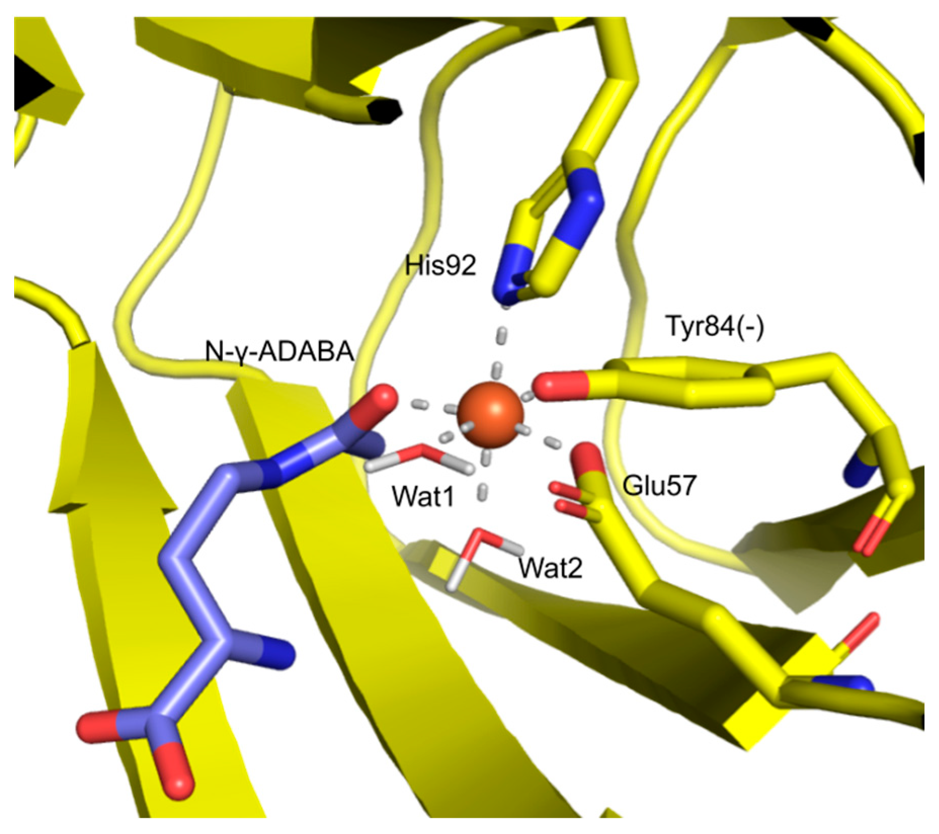 Catalysts 13 00124 g013