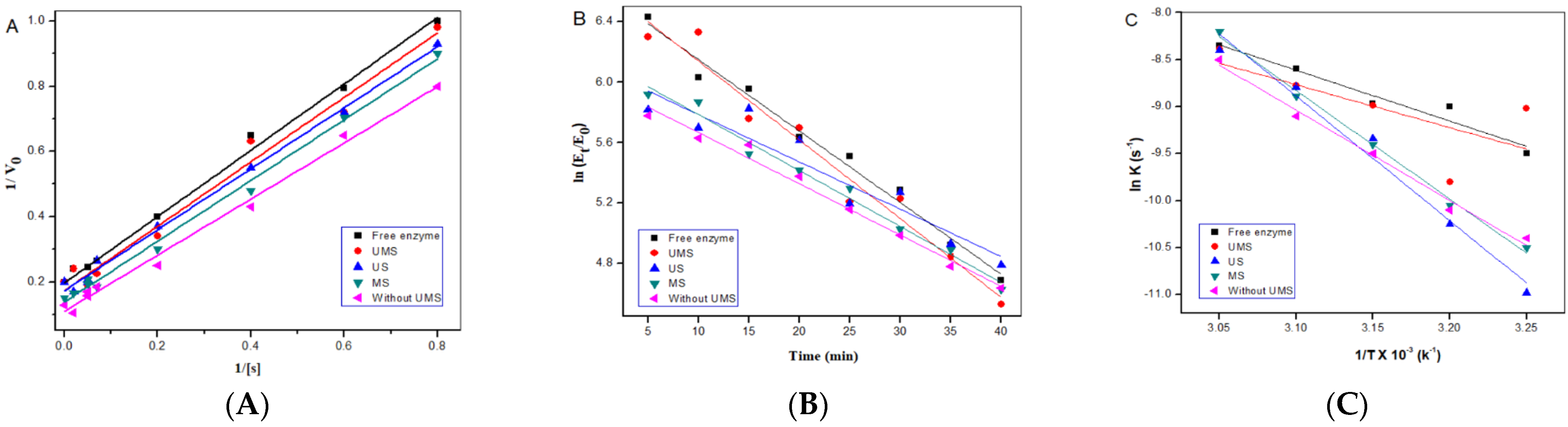 Catalysts 13 00125 g006