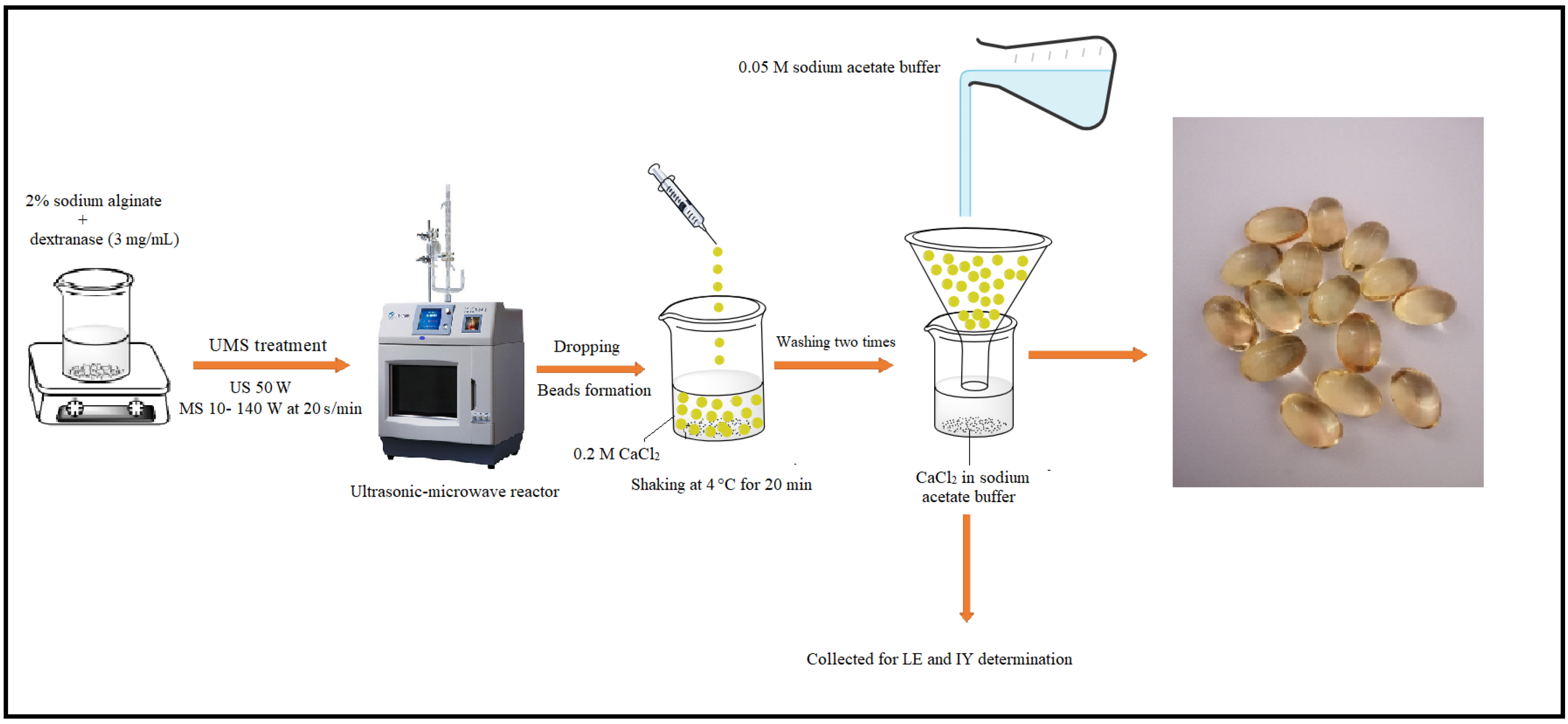 Catalysts 13 00125 g008