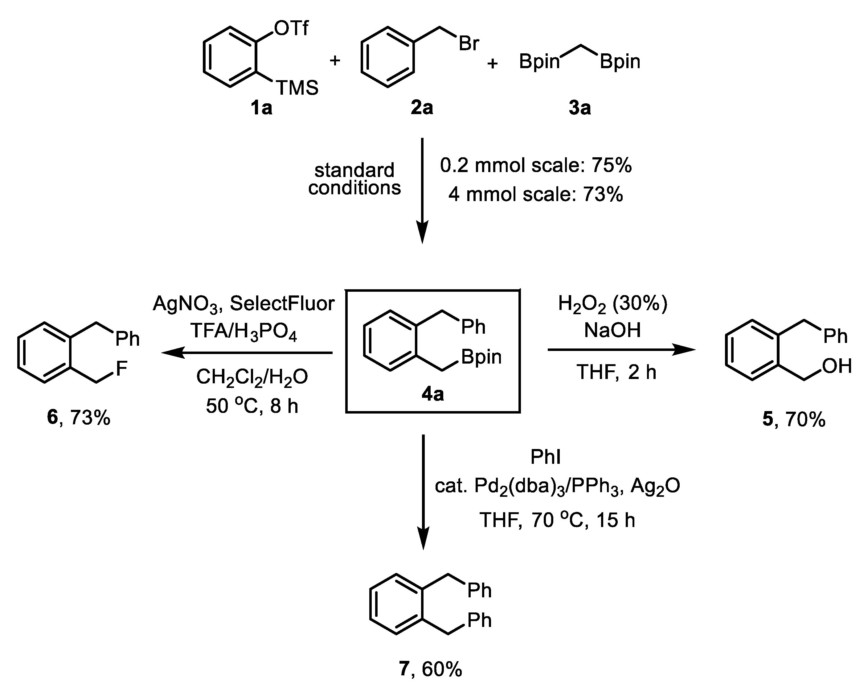 Catalysts 13 00126 sch004 Catalysts 13 00126 sch004