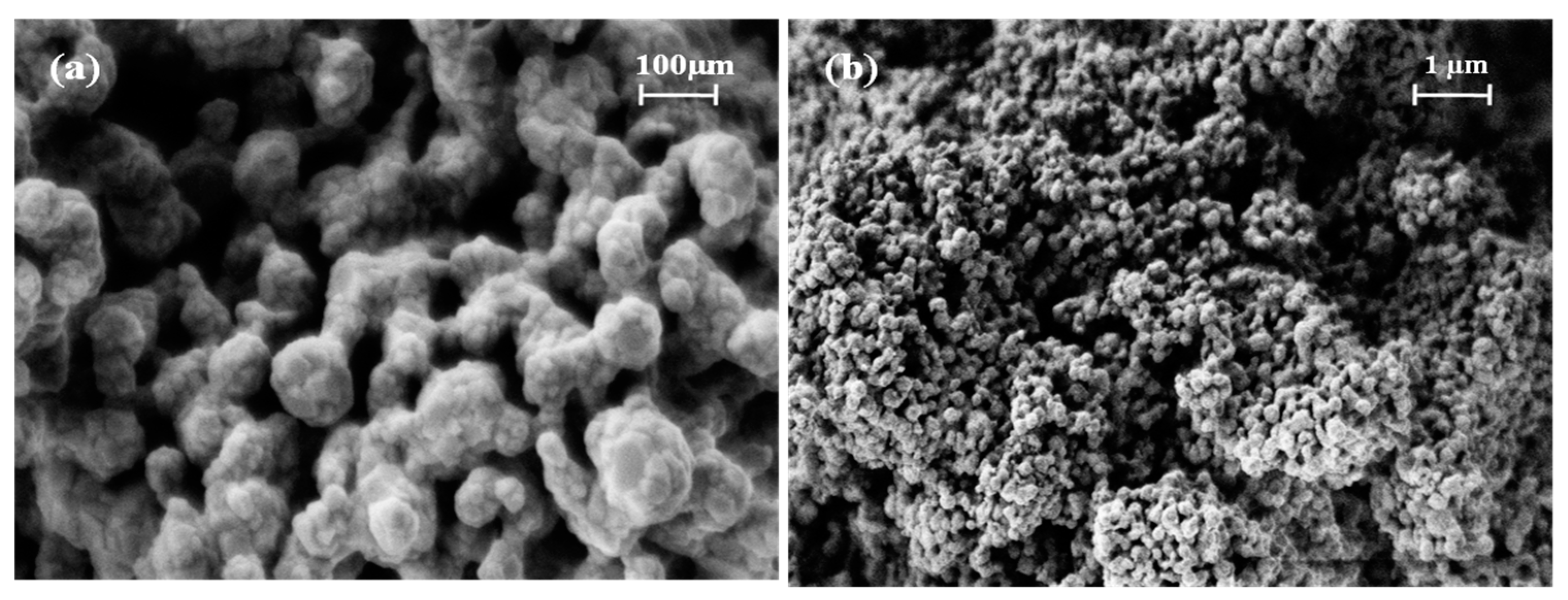 Catalysts 13 00127 g003