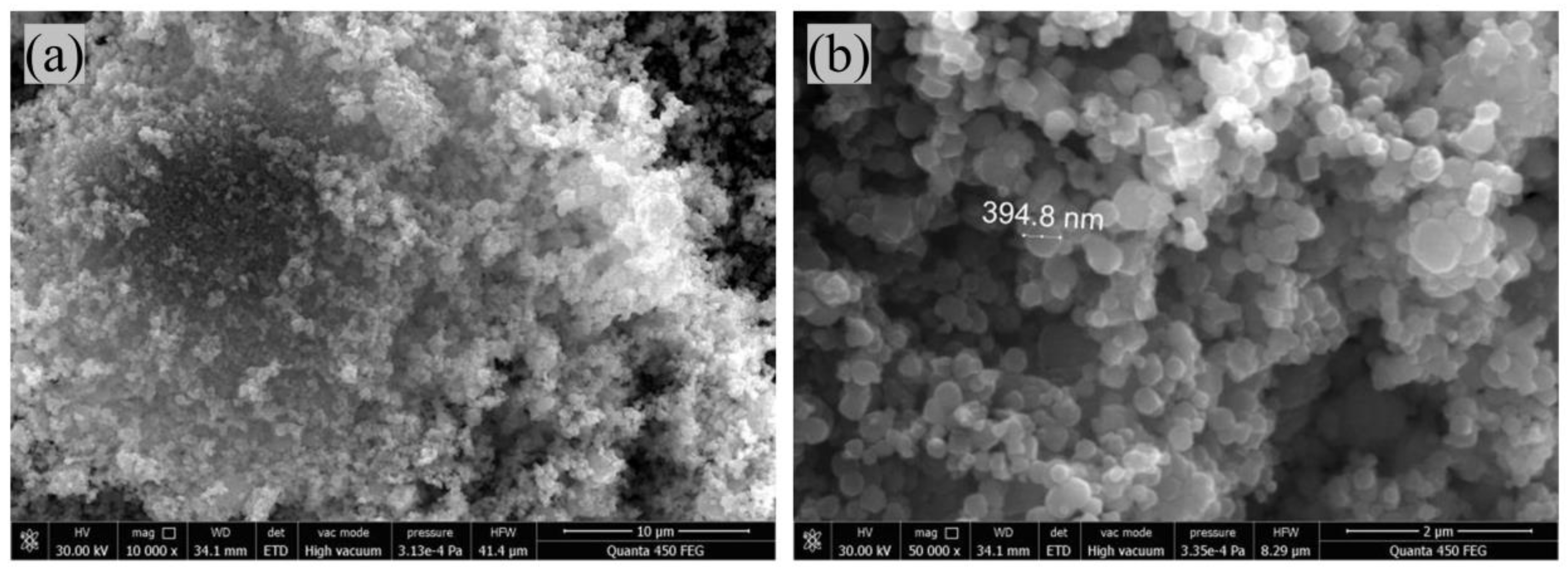 Catalysts 13 00128 g012 Catalysts 13 00128 g012