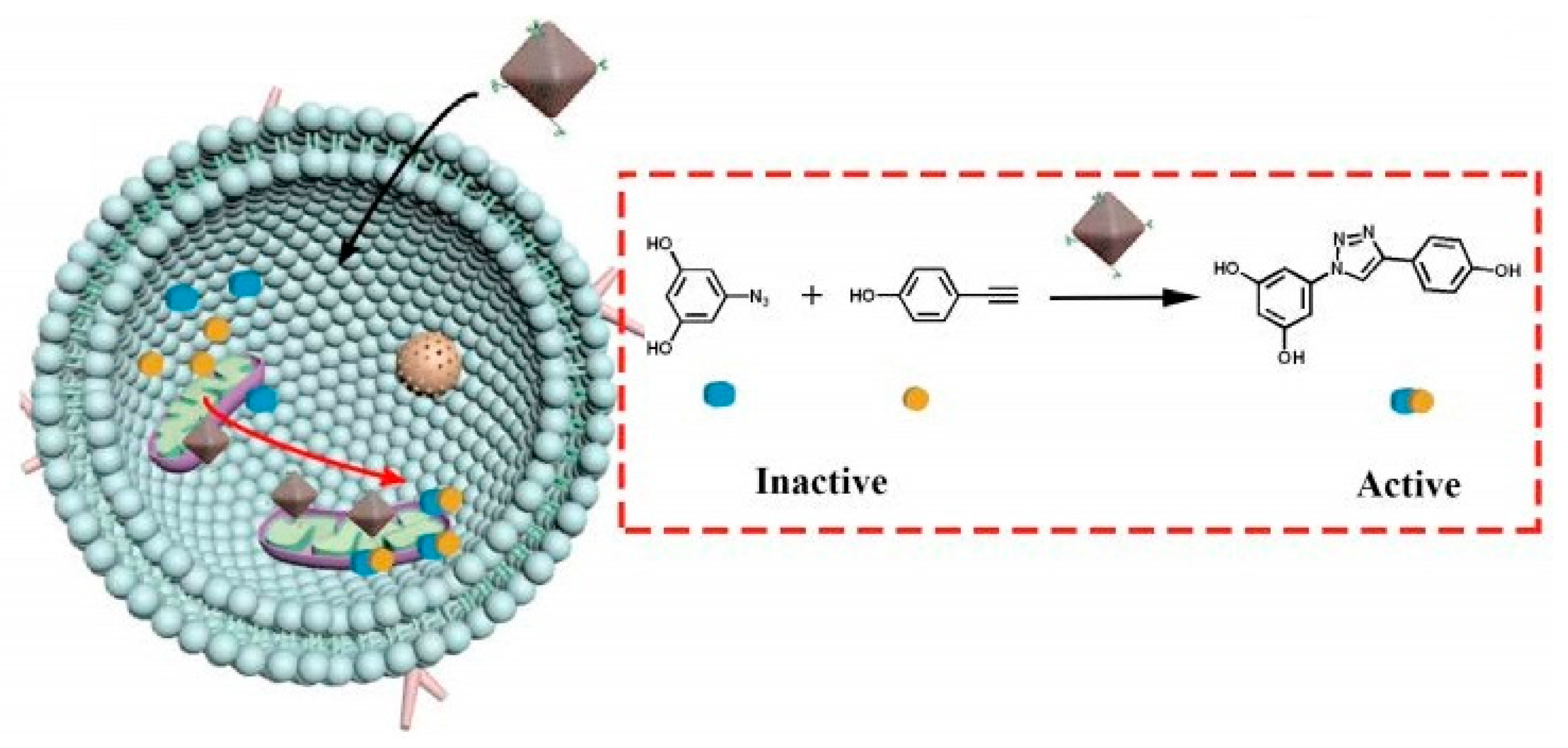 Catalysts 13 00130 g022
