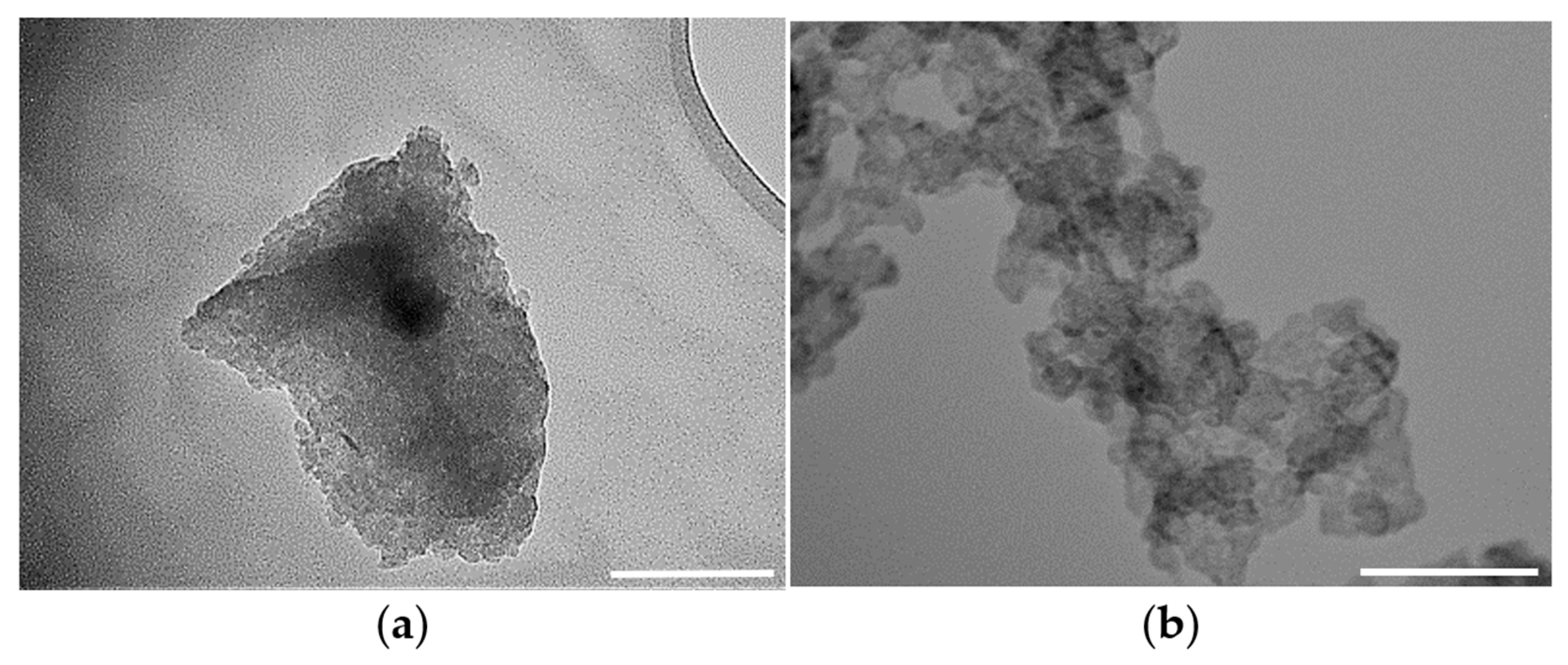 Catalysts 13 00133 g003