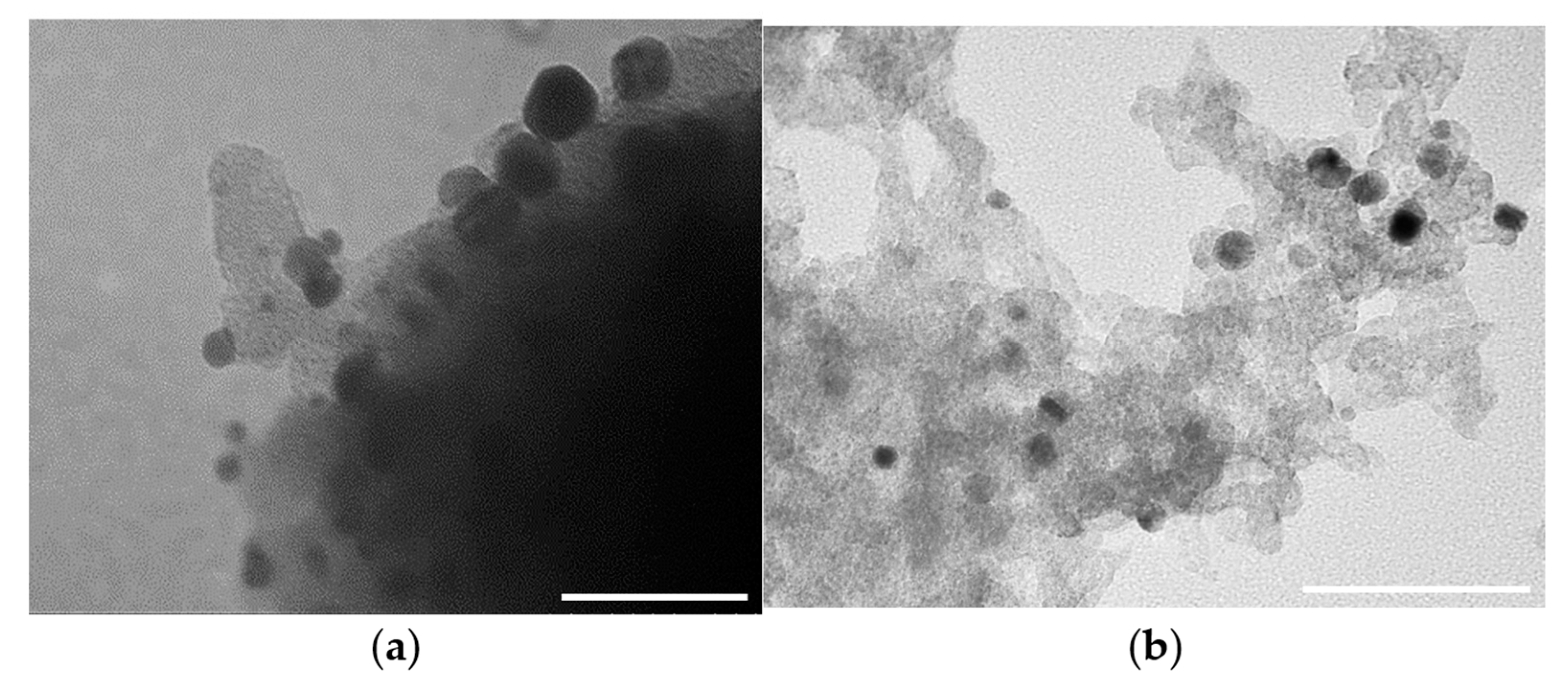 Catalysts 13 00133 g004