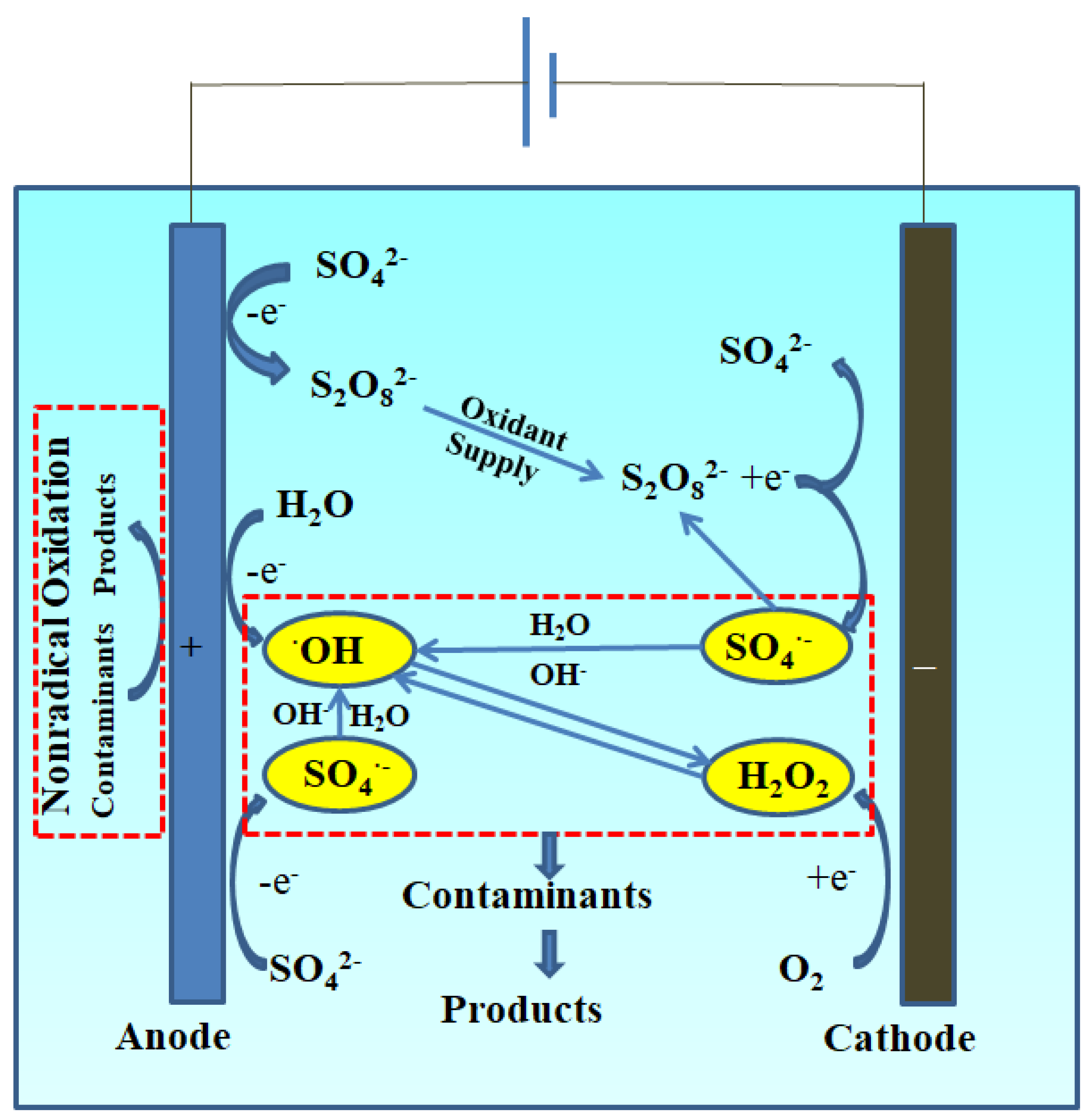 Catalysts 13 00135 g002