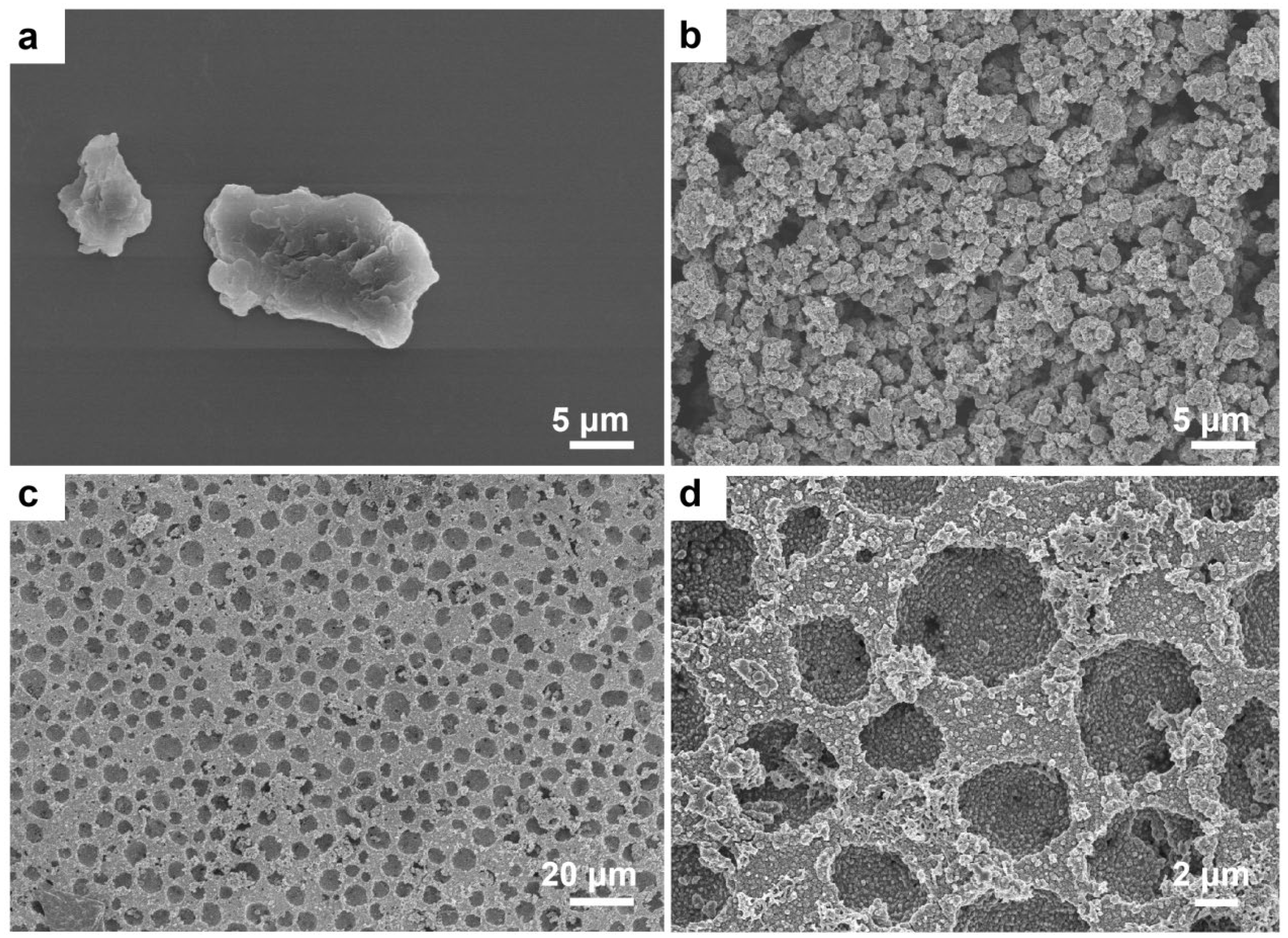 Catalysts 13 00139 g001 Catalysts 13 00139 g001