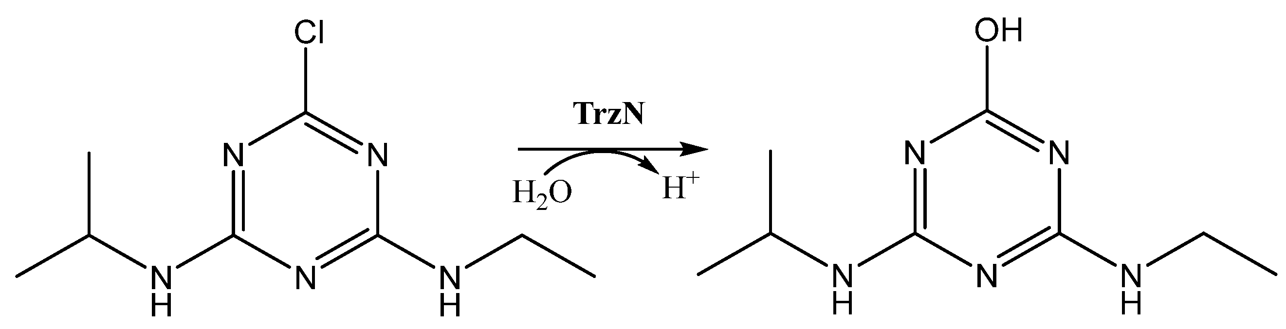 Catalysts 13 00140 g001