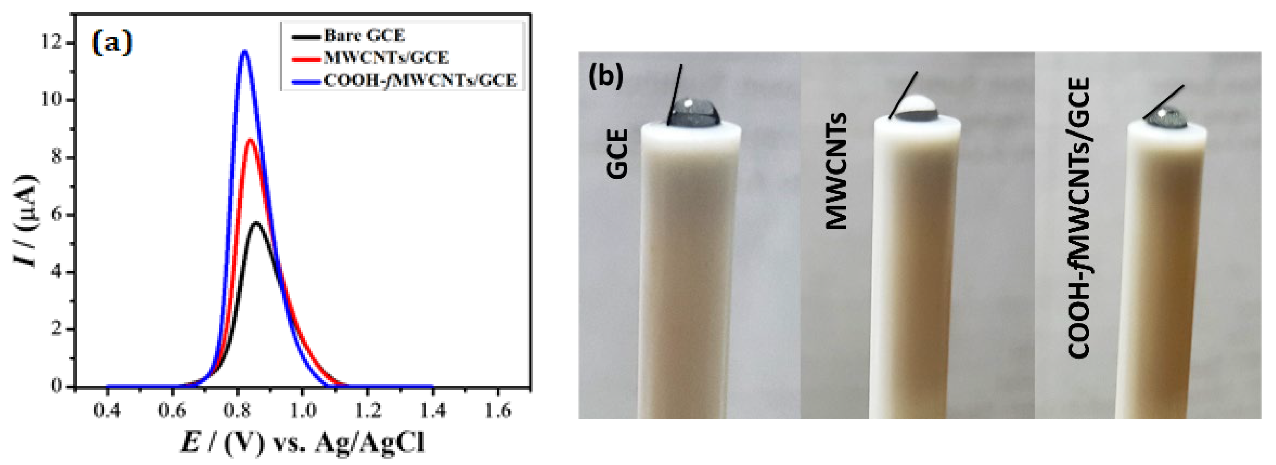 Catalysts 13 00141 g002