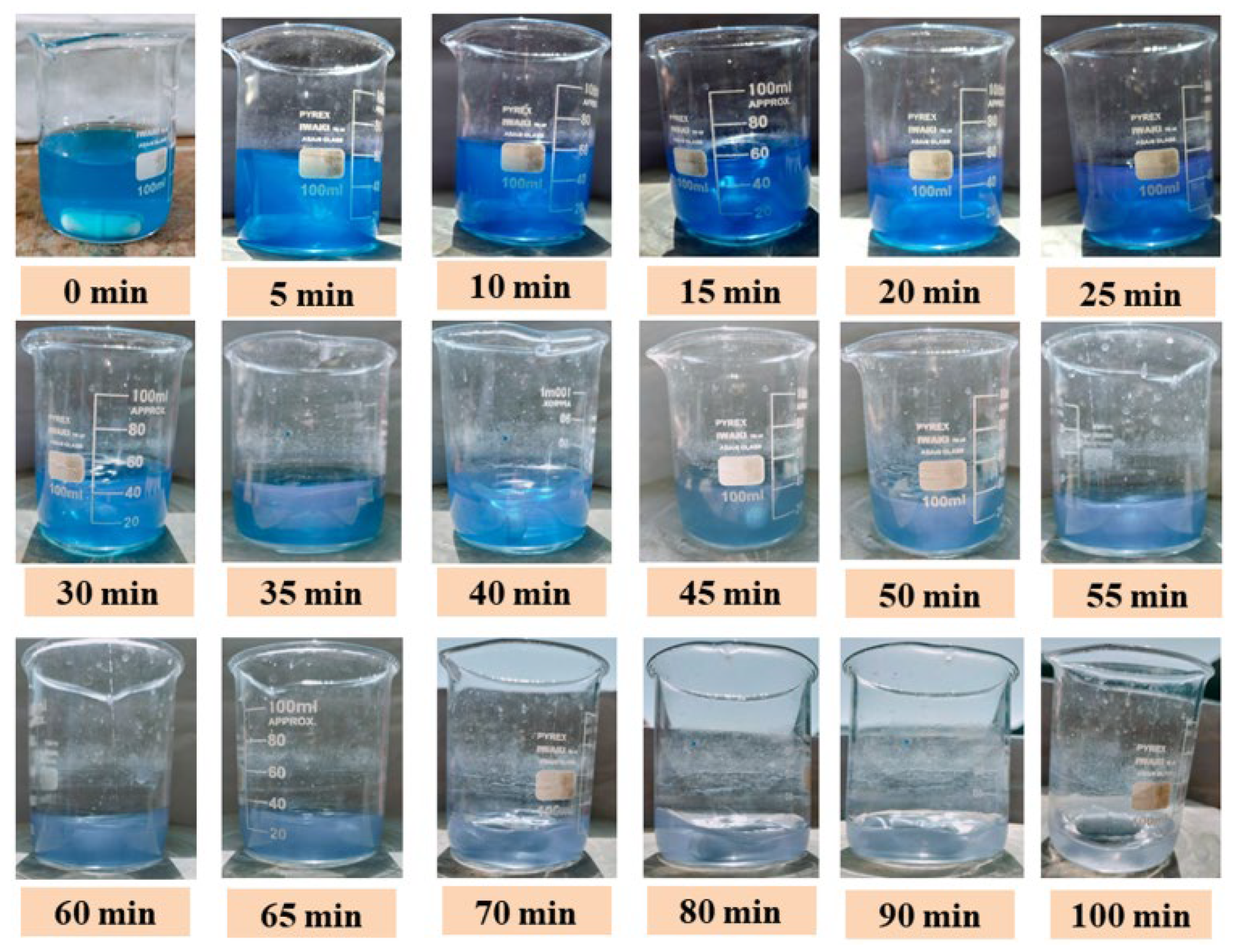 Catalysts 13 00141 g010