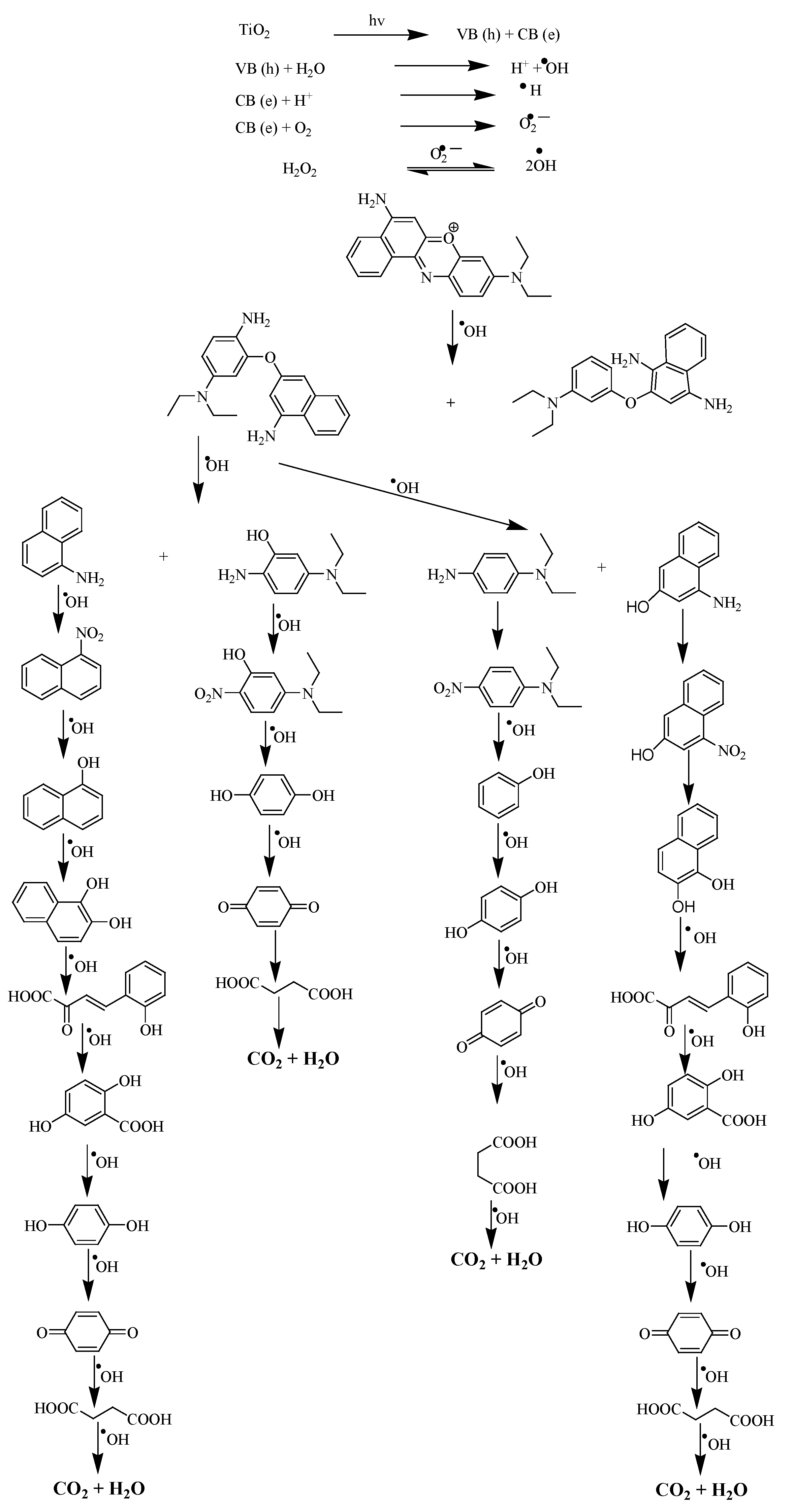 Catalysts 13 00141 sch001a