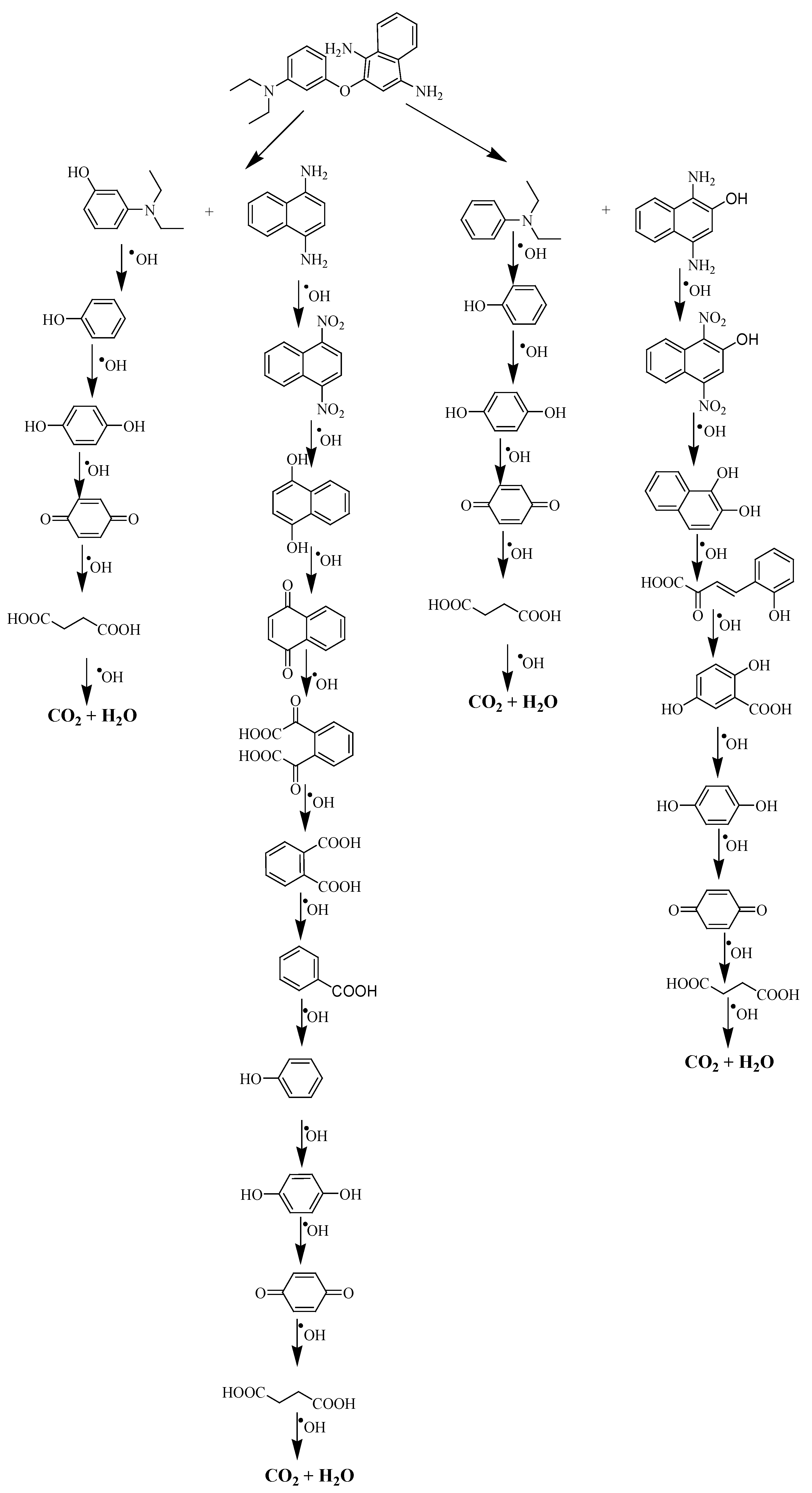 Catalysts 13 00141 sch001b
