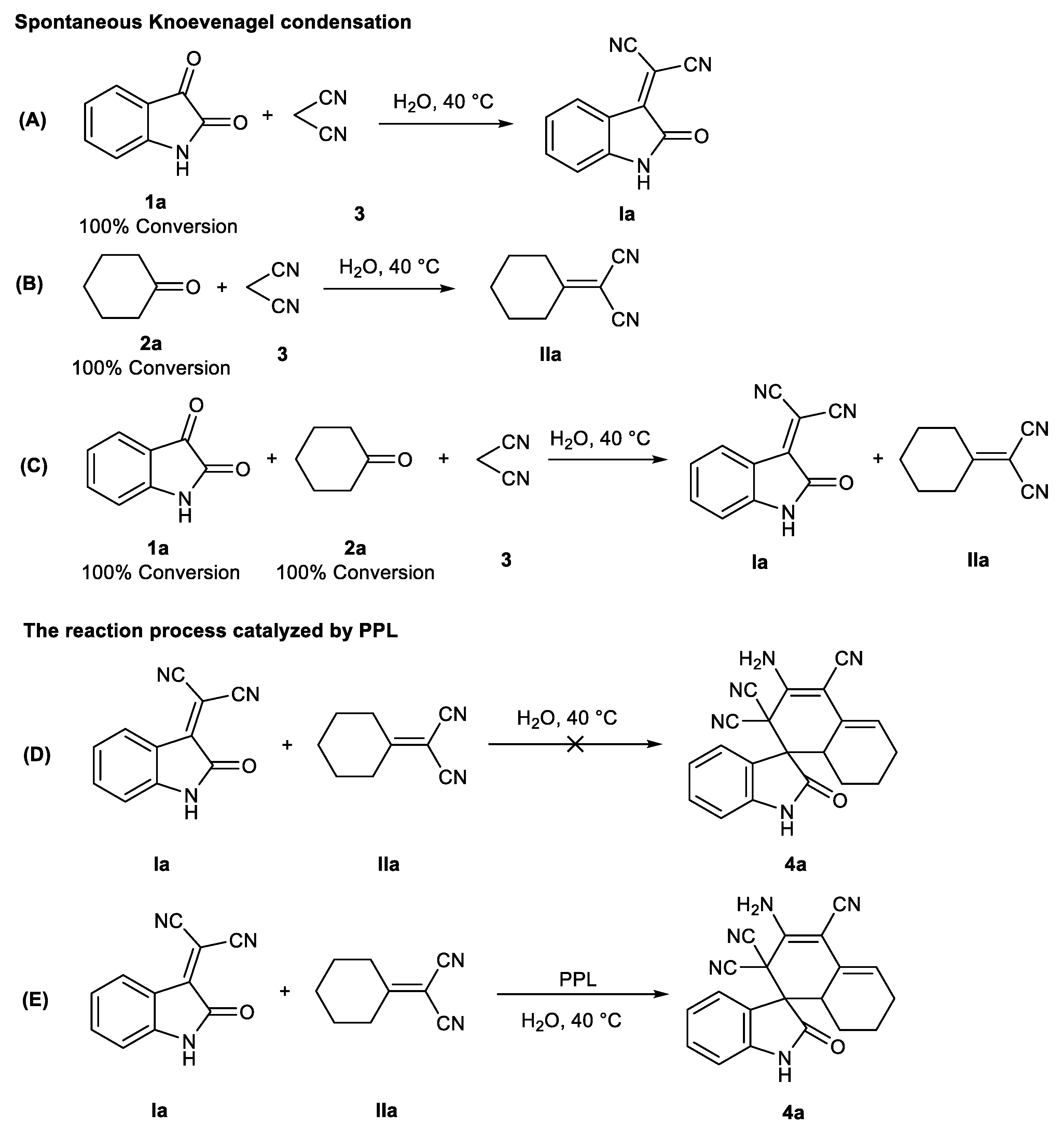 Catalysts 13 00143 g004