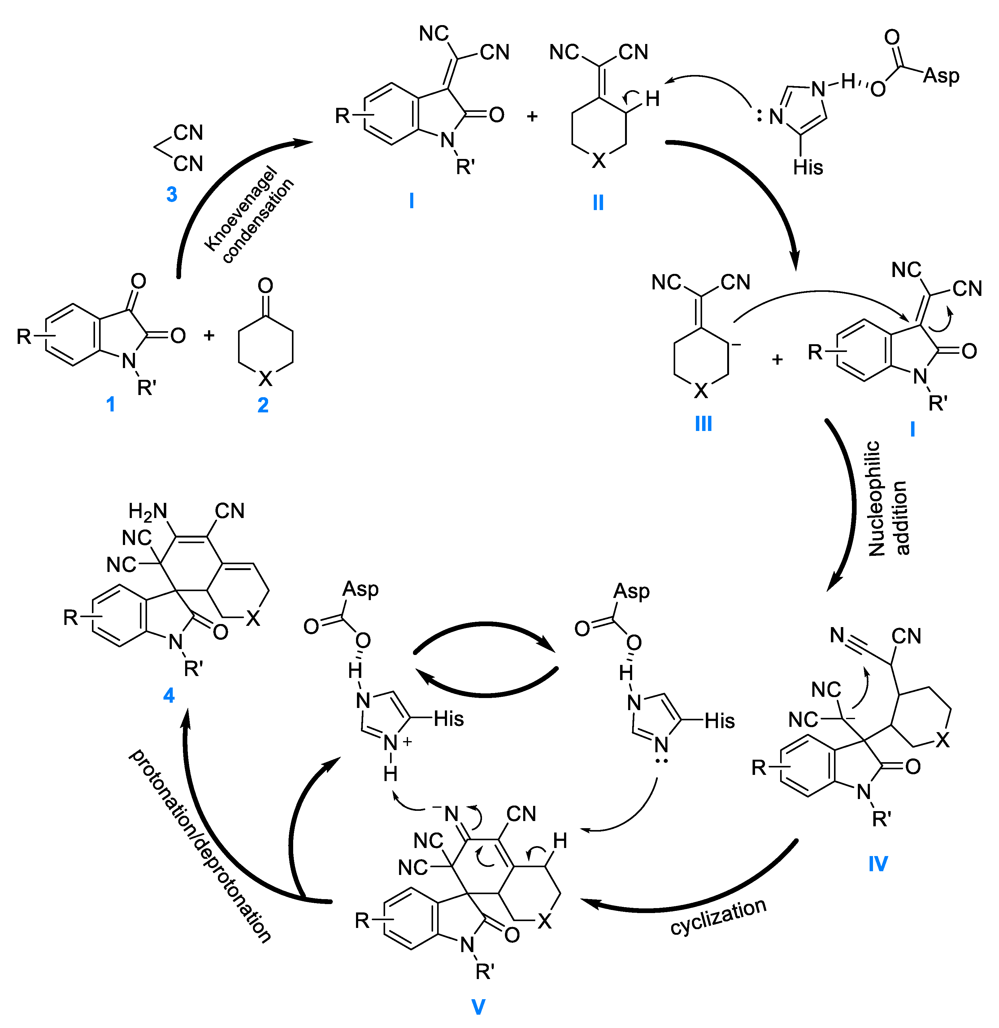 Catalysts 13 00143 g005
