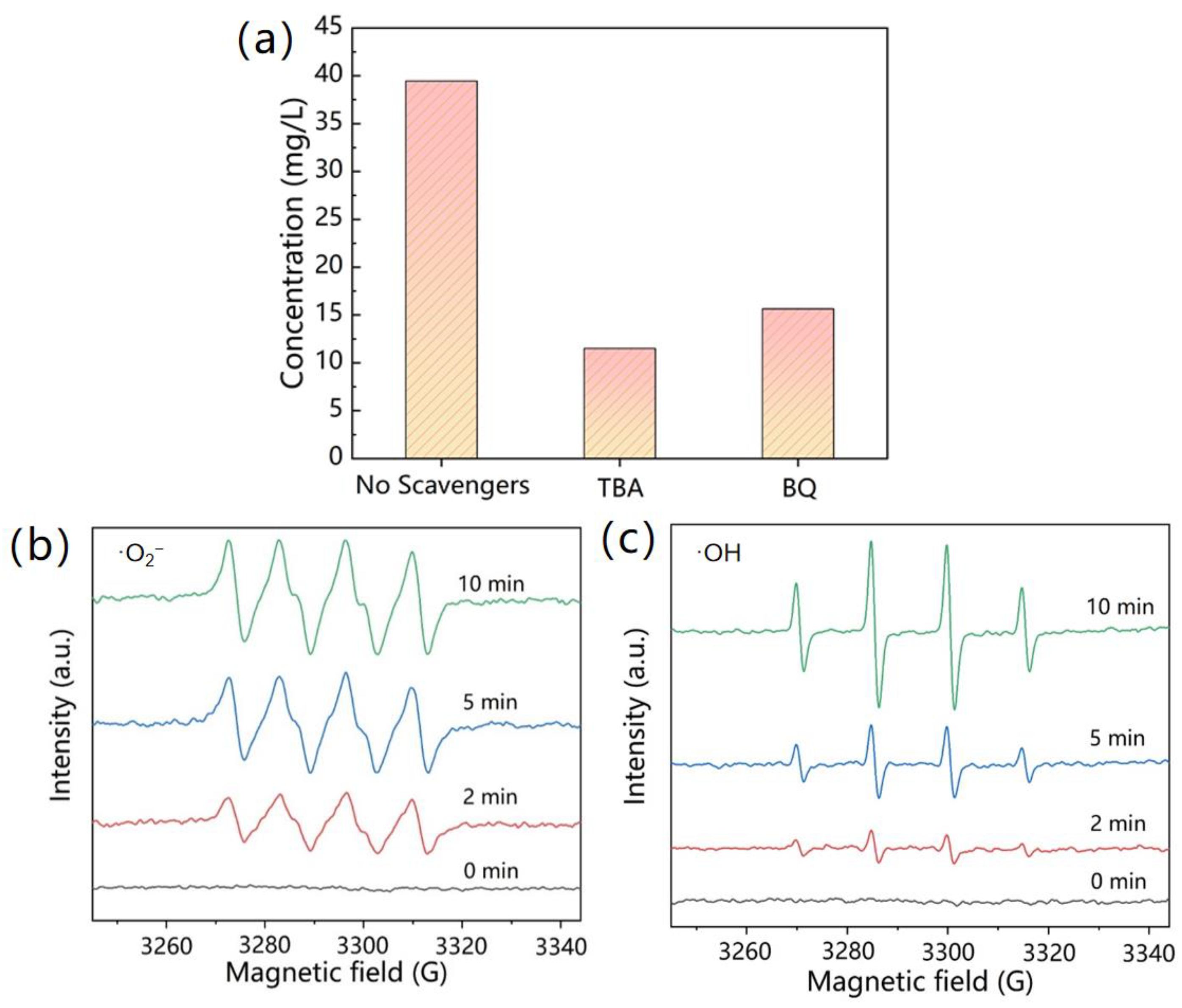 Catalysts 13 00147 g010 Catalysts 13 00147 g010