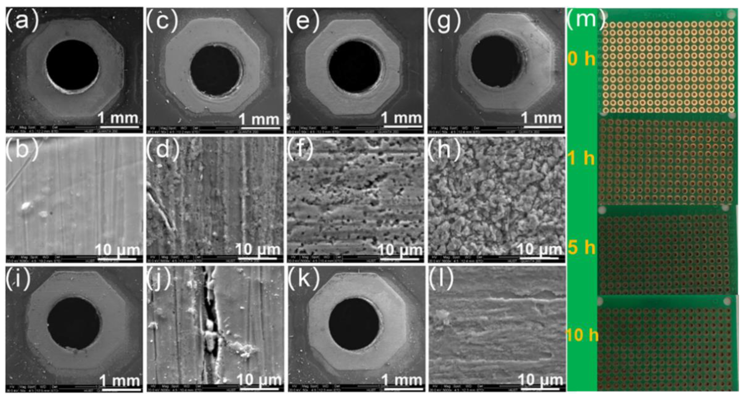 Catalysts 13 00147 g011 Catalysts 13 00147 g011