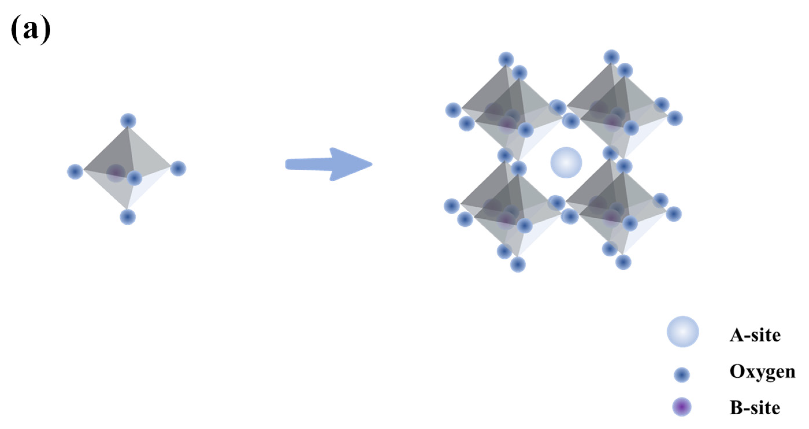 Catalysts 13 00148 g001a