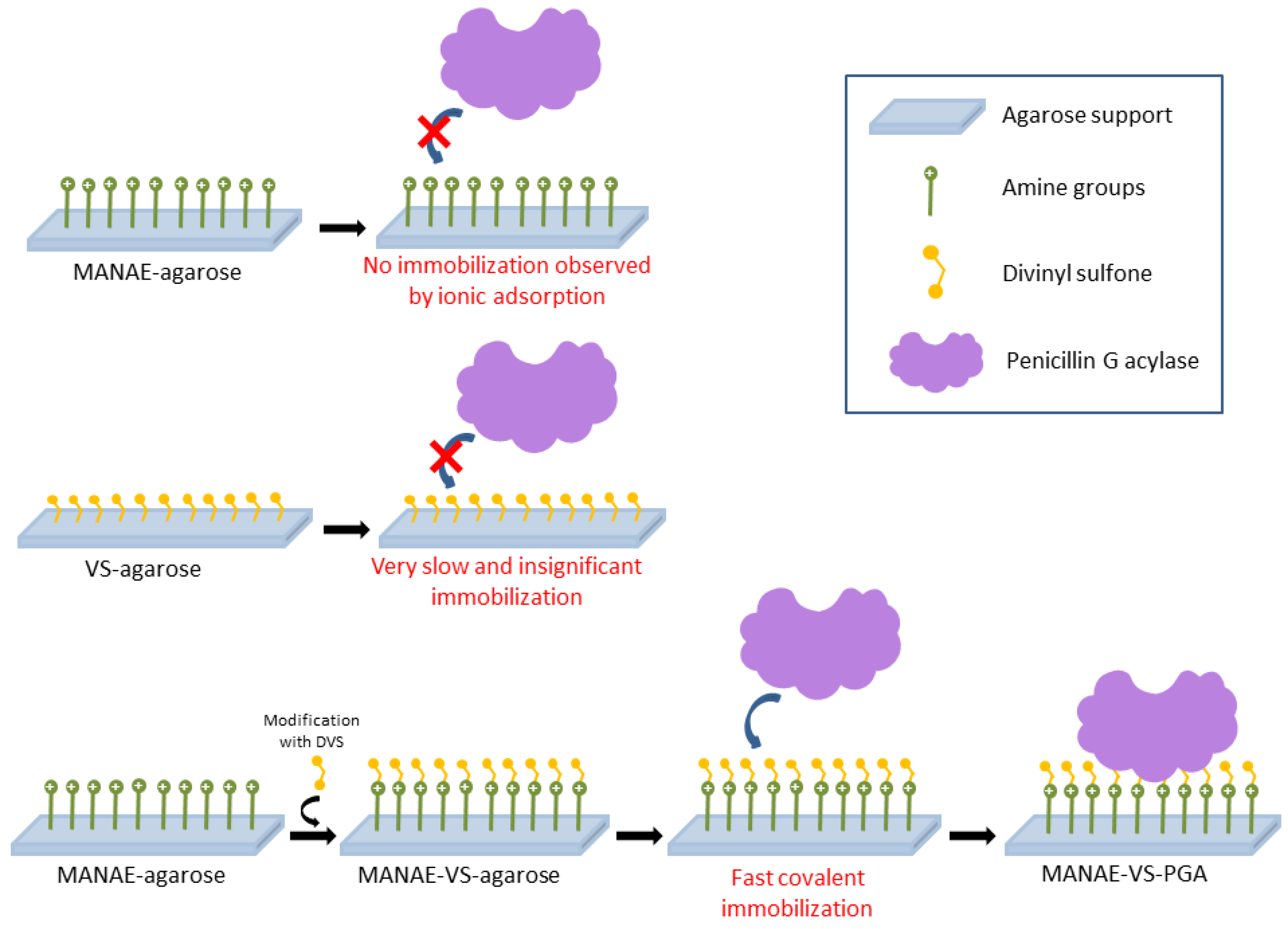 Catalysts 13 00151 sch001