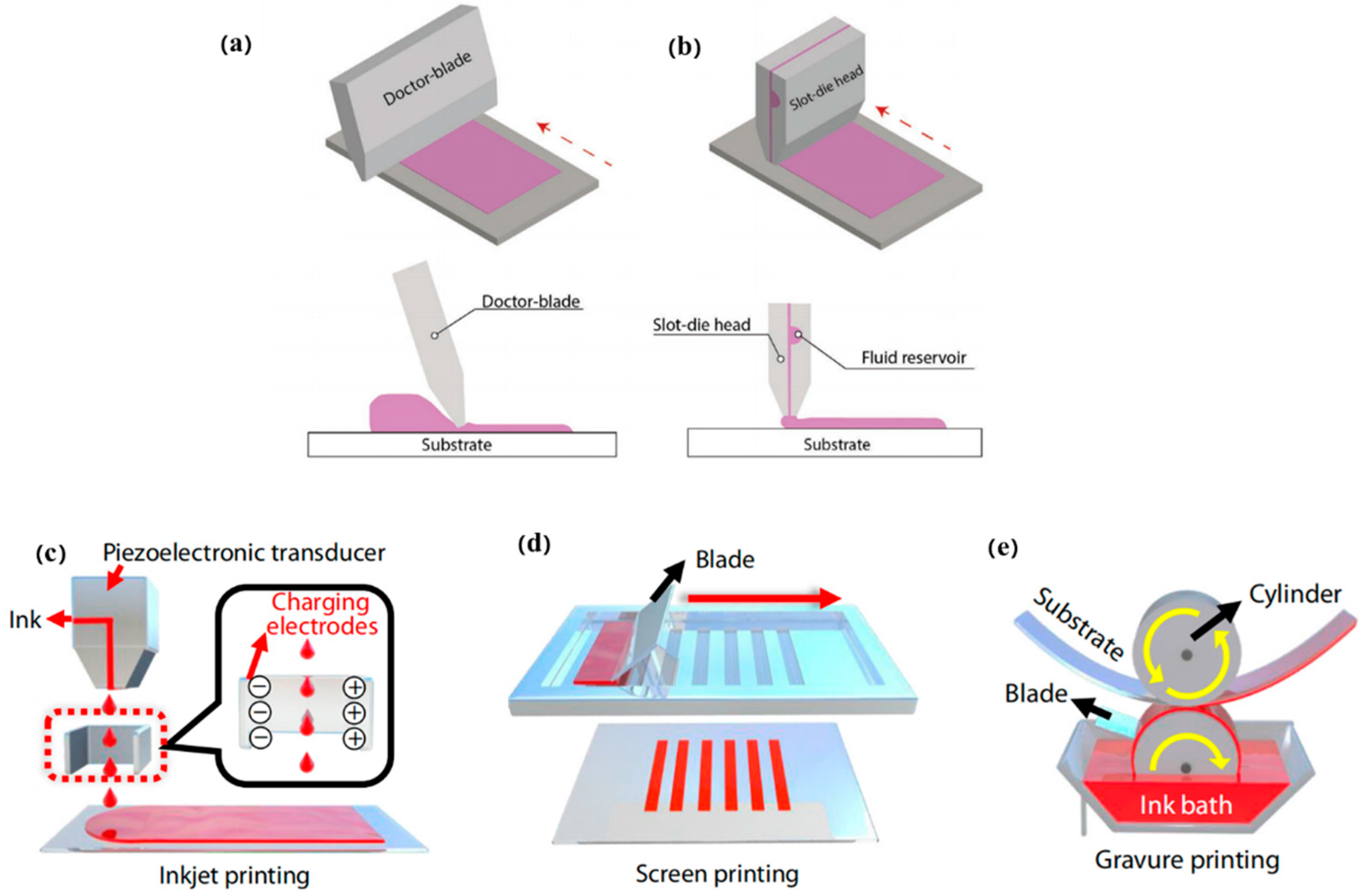 Catalysts 13 00156 g005