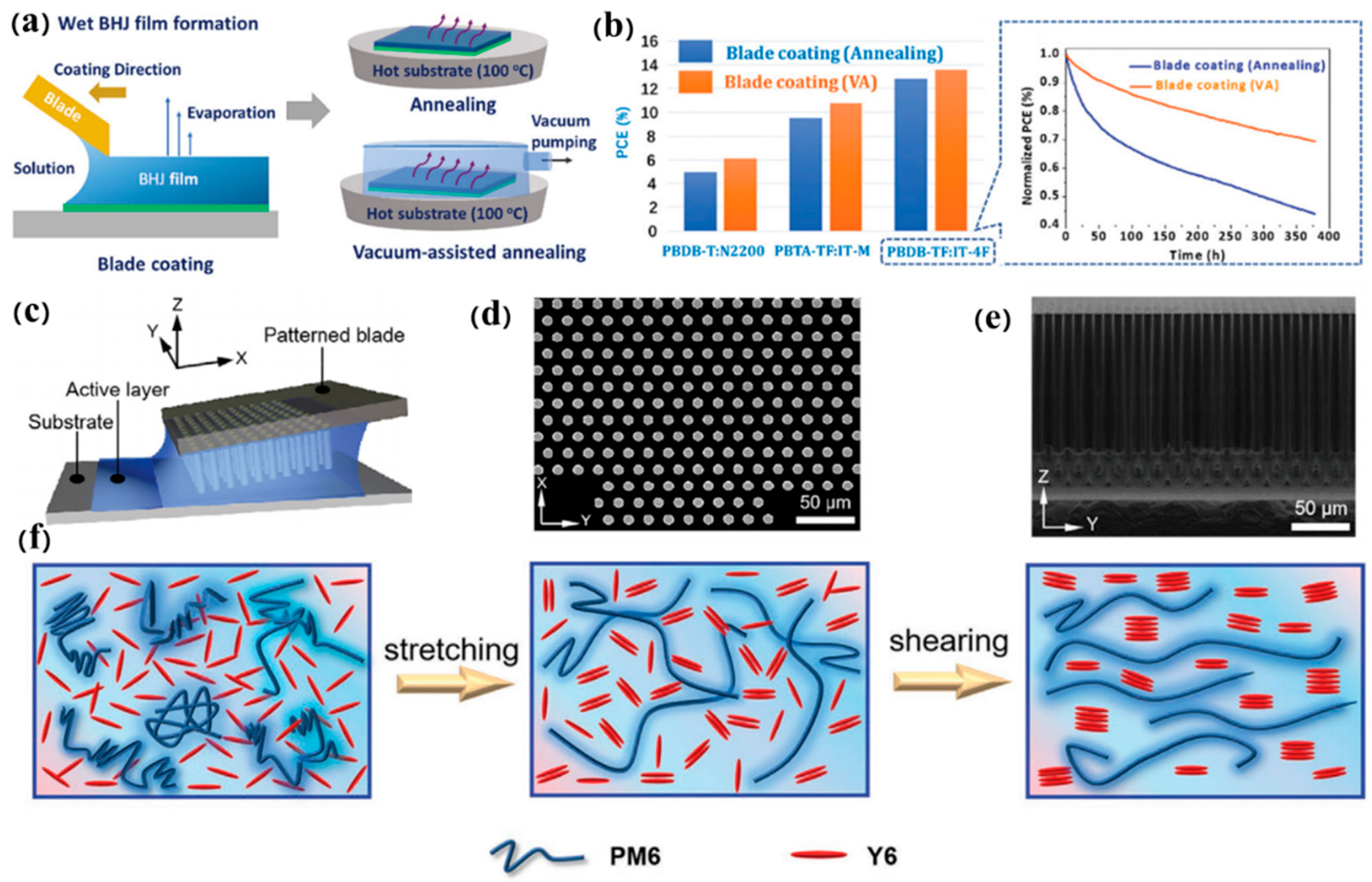 Catalysts 13 00156 g006