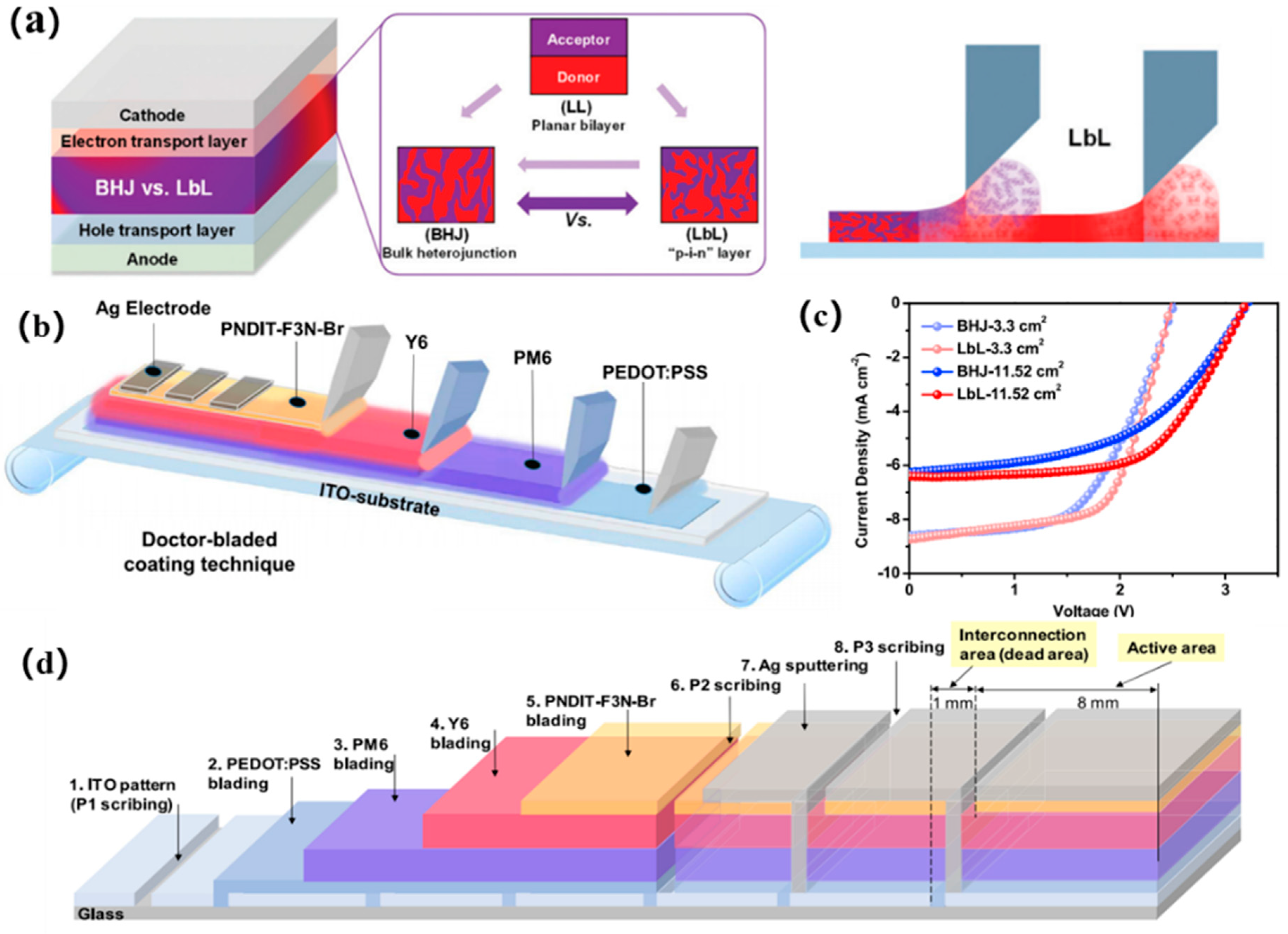 Catalysts 13 00156 g007