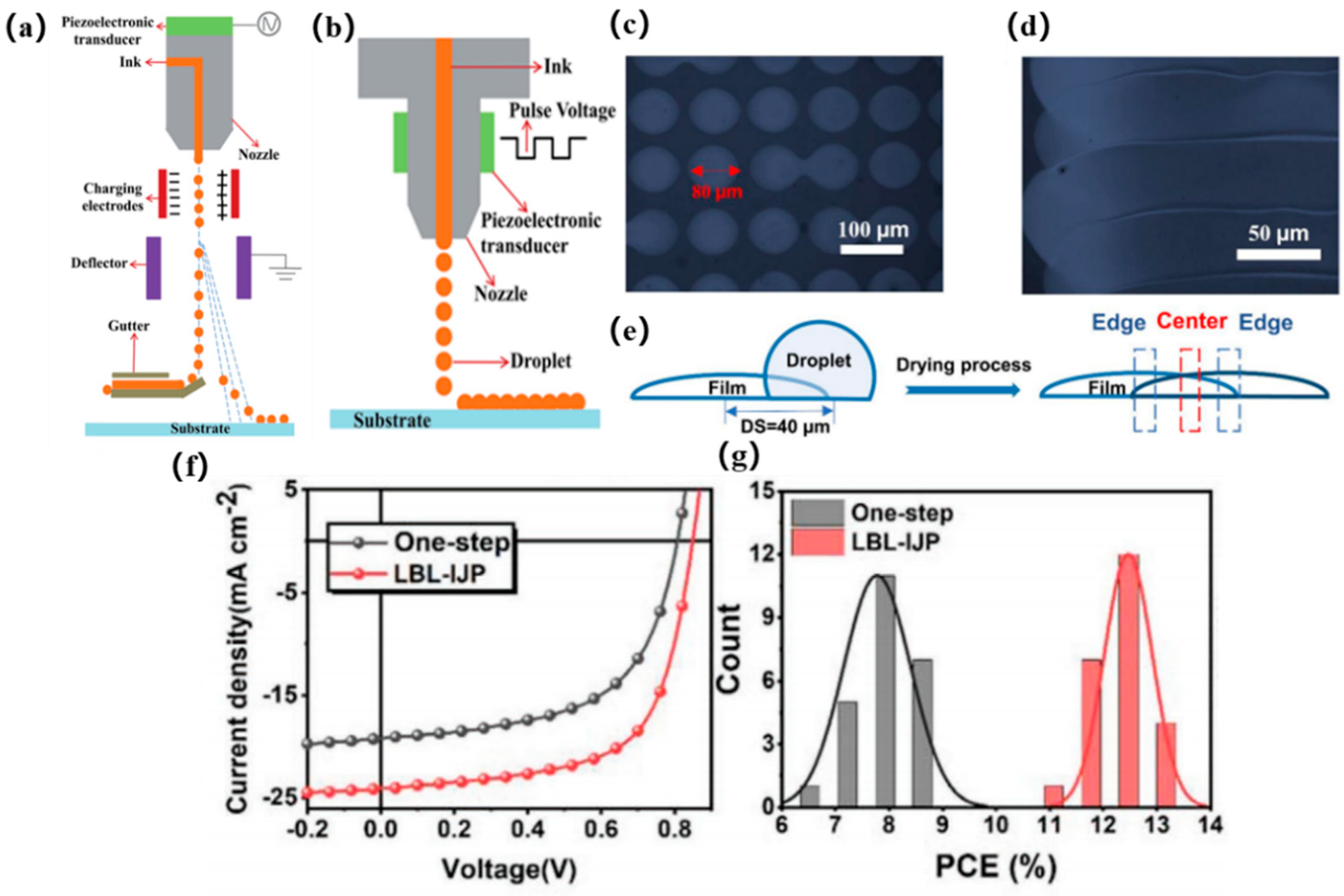 Catalysts 13 00156 g010